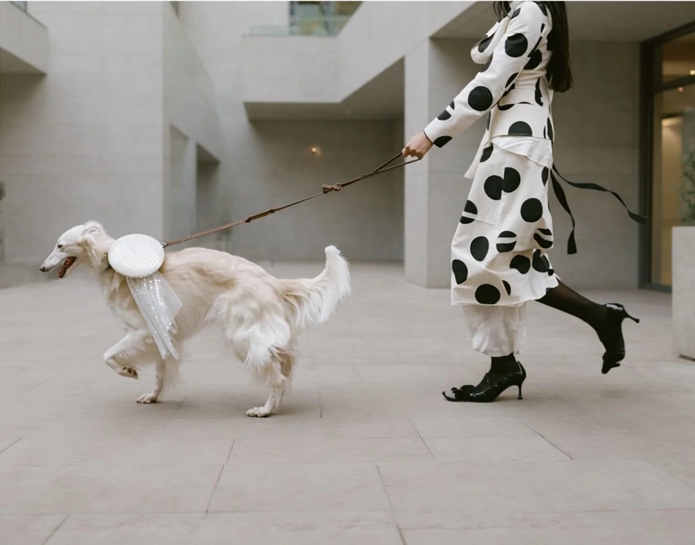 Luxury dog sitter in black and white polka dot dress and high heels walking a golden retriever with a white bow on its collar in a modern indoor space with gray walls and floors.
