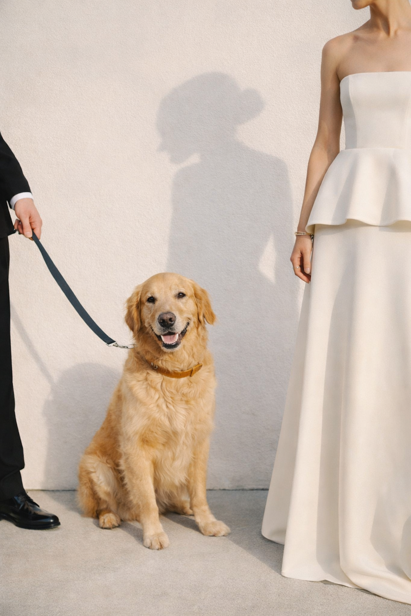 Golden retriever at a wedding Golden retriever at wedding with bride in minimalist modern strapless wedding gown