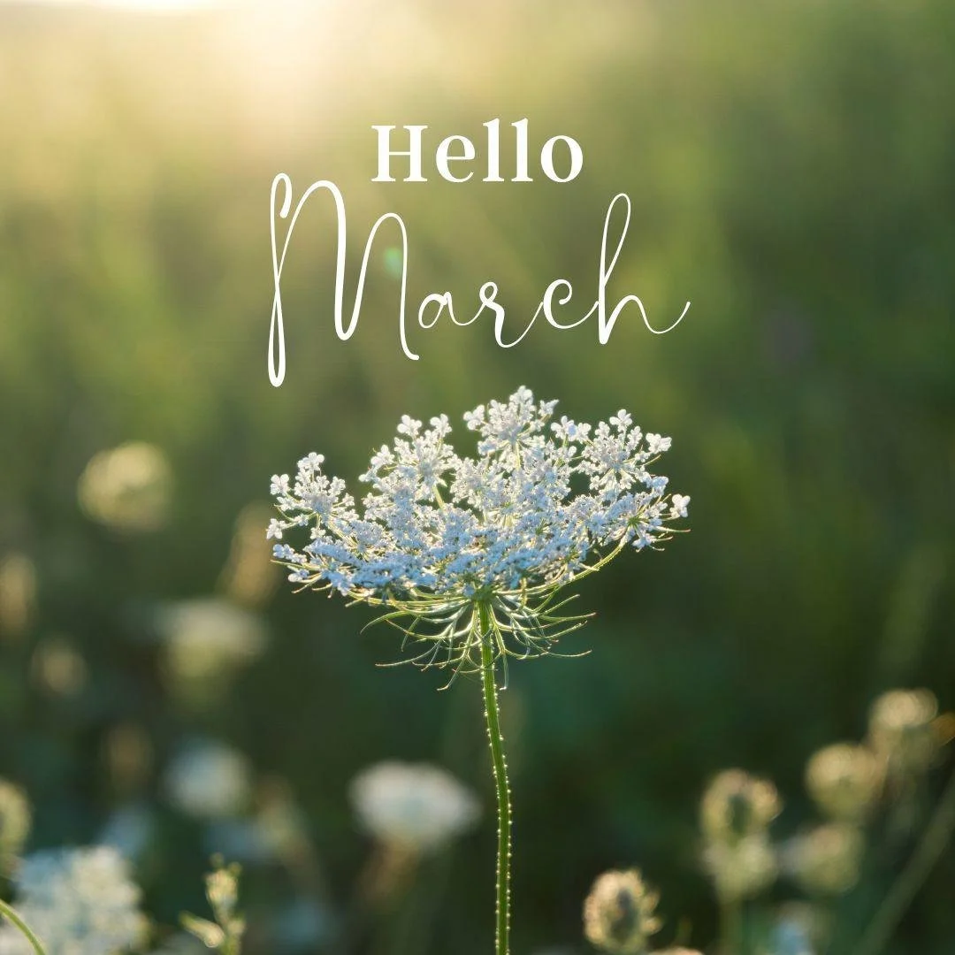 Hello, March! 🌿✨ 

A new month means fresh finds, great deals, and more reasons to shop local! 

What are you looking forward to most this month? Drop a comment below! 👇