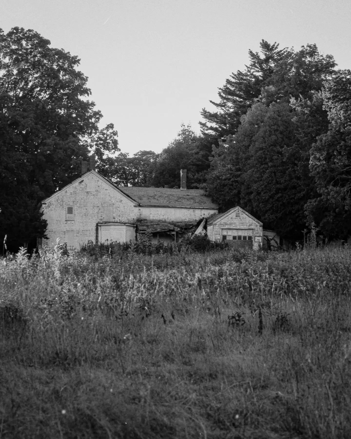 🎃🔪

📸 #pentax6x7
🎞️ #tmax100 

#filmisdead #kodakprofessional #mediumformat #67 #burbsonfilm #duskvillemag
