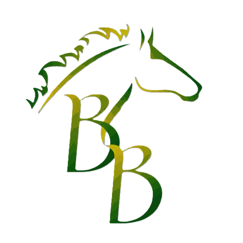 Stylized logo with green and yellow tropical leaves and the initials 'B' and 'Z' layered over a gray background.