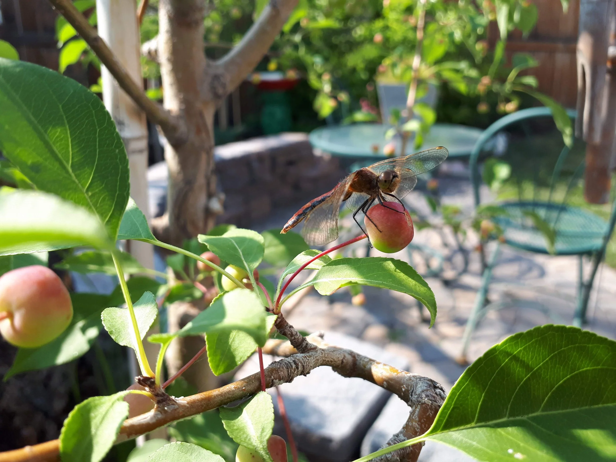 20180730_164246.jpg