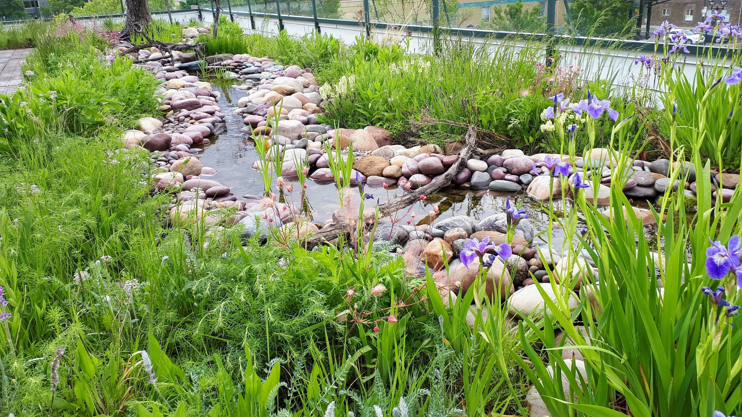 20190618_085925.jpg
