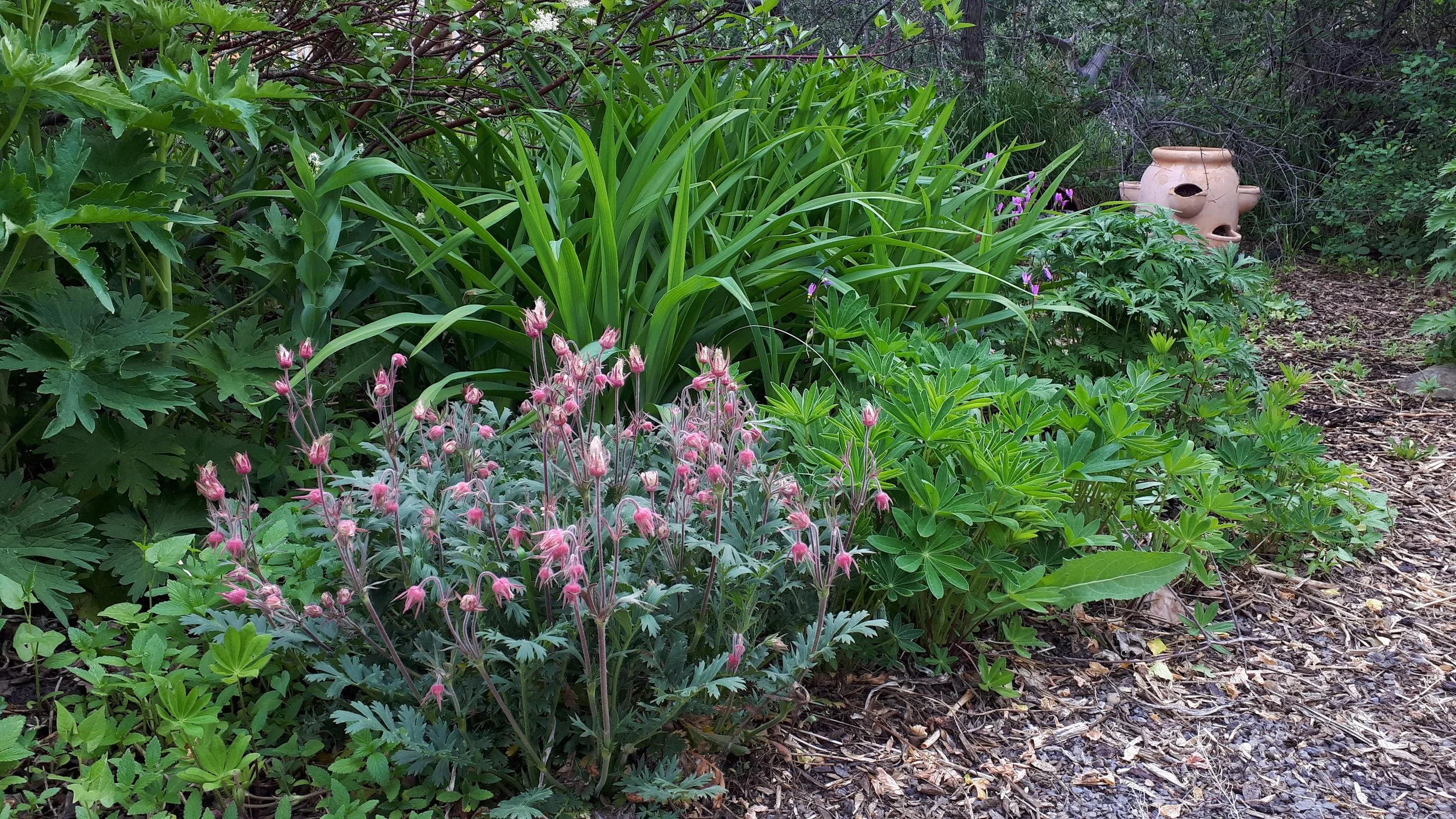 20190605_091837.jpg