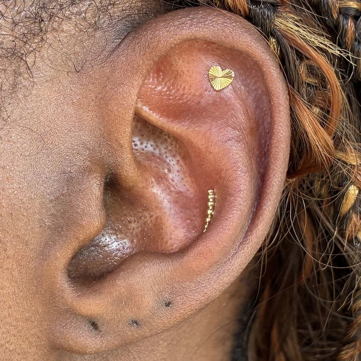 FlatandConch.jpg
