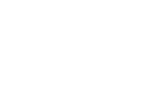 The Swan