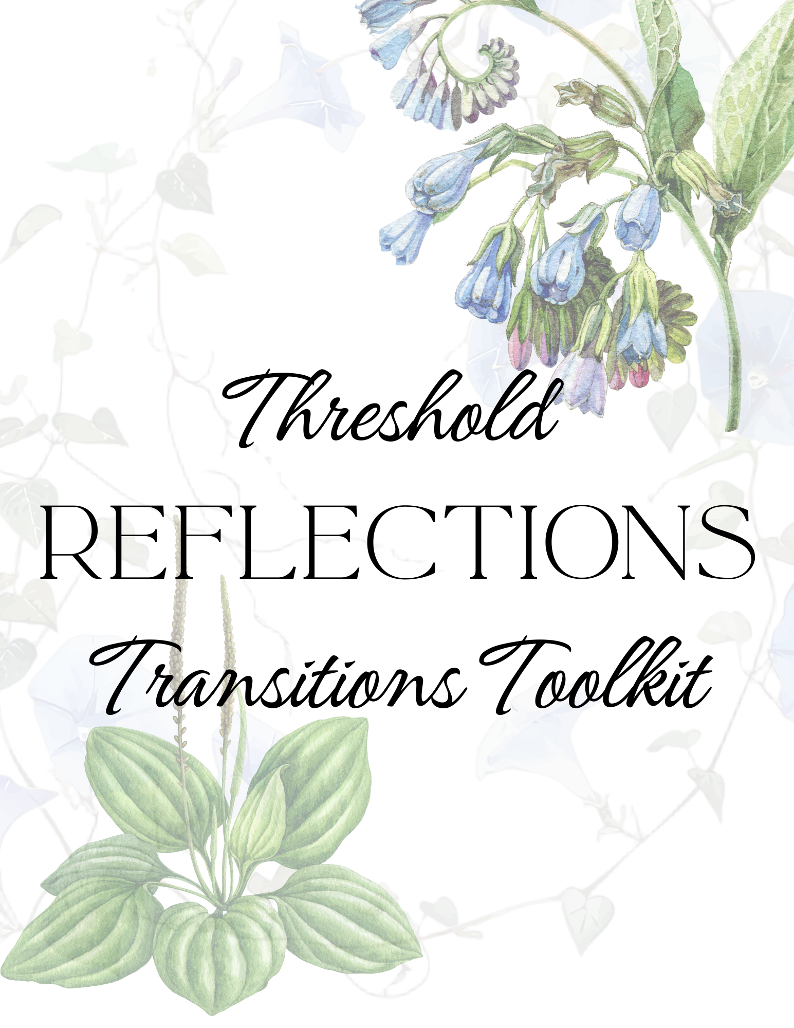Threshold Reflections Transitions Toolkit.png