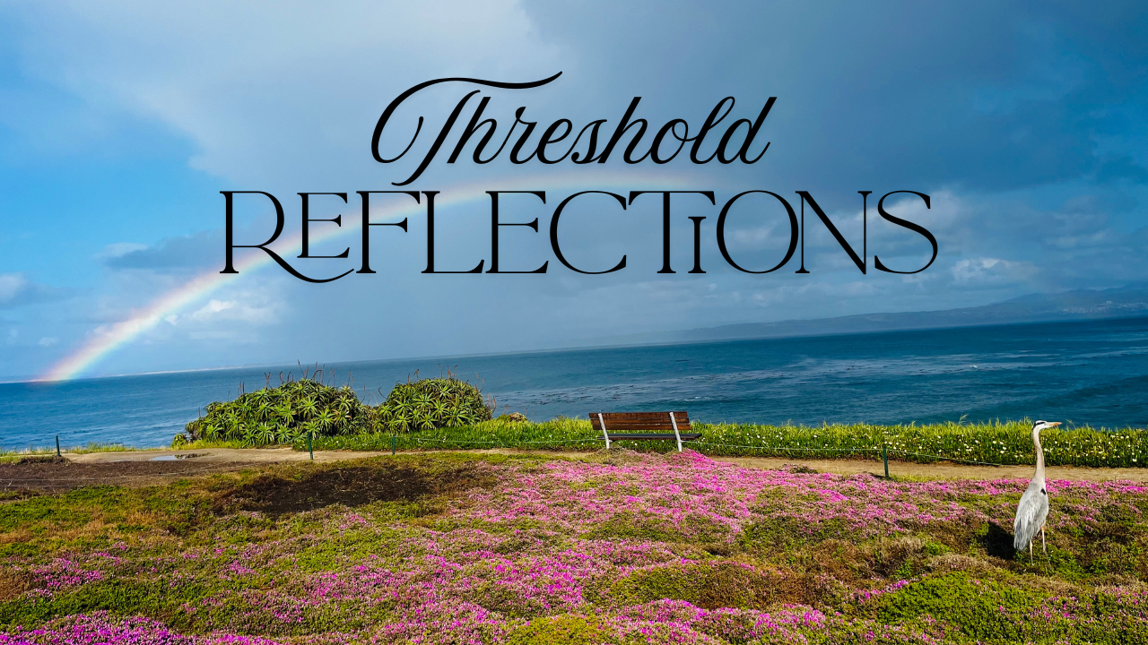 A landscape with a rainbow in the sky over the ocean, a grassy area with pink flowers, a solitary heron, and a bench, with the words 'Threshold Reflections' overlayed.