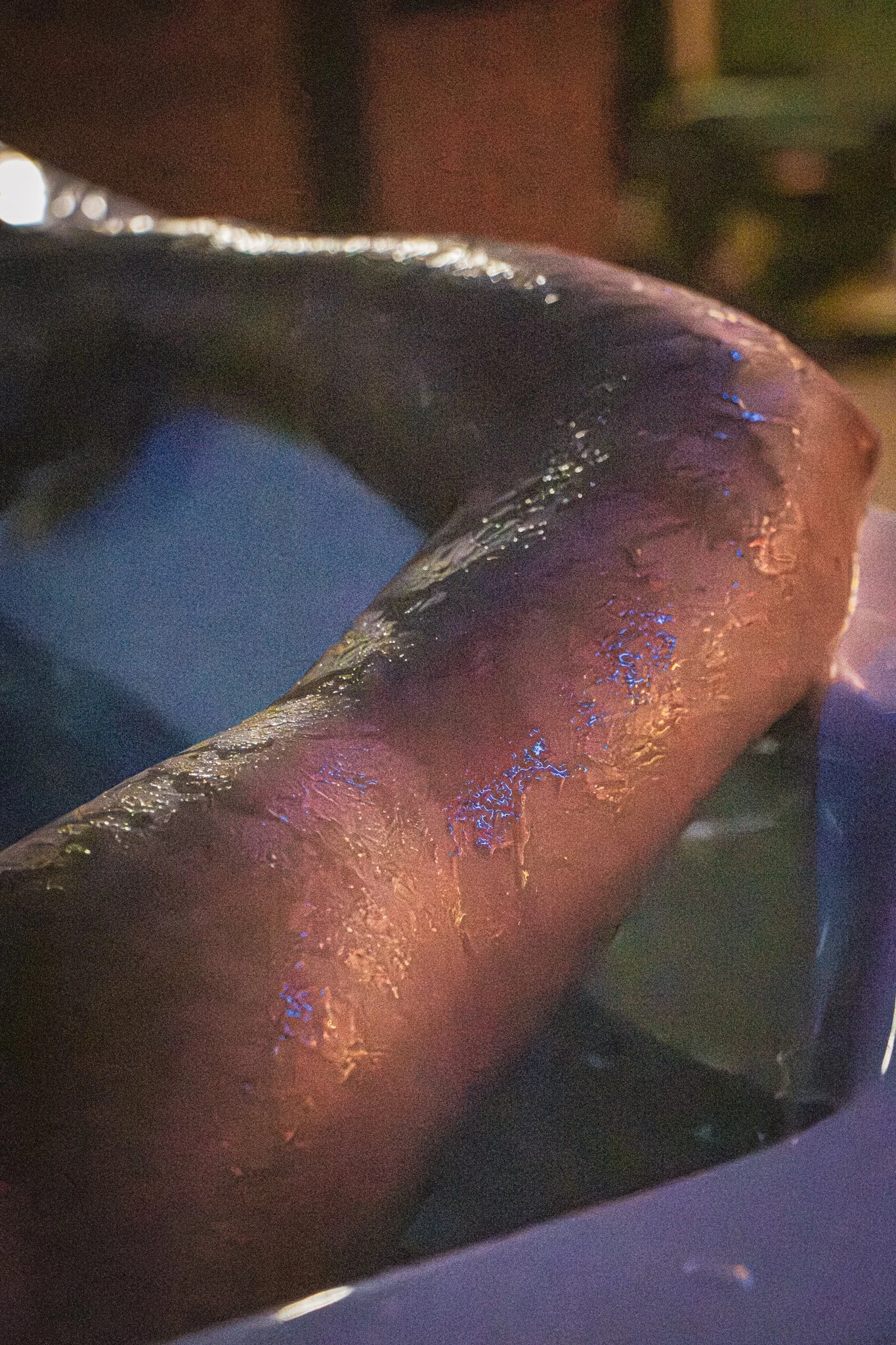 A wet arm of someone doing a Cold Plunge.