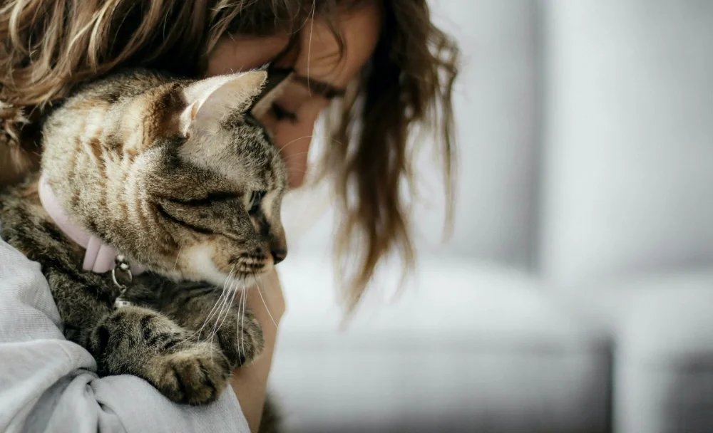 A woman hugging a tabby cat with a pink collar.