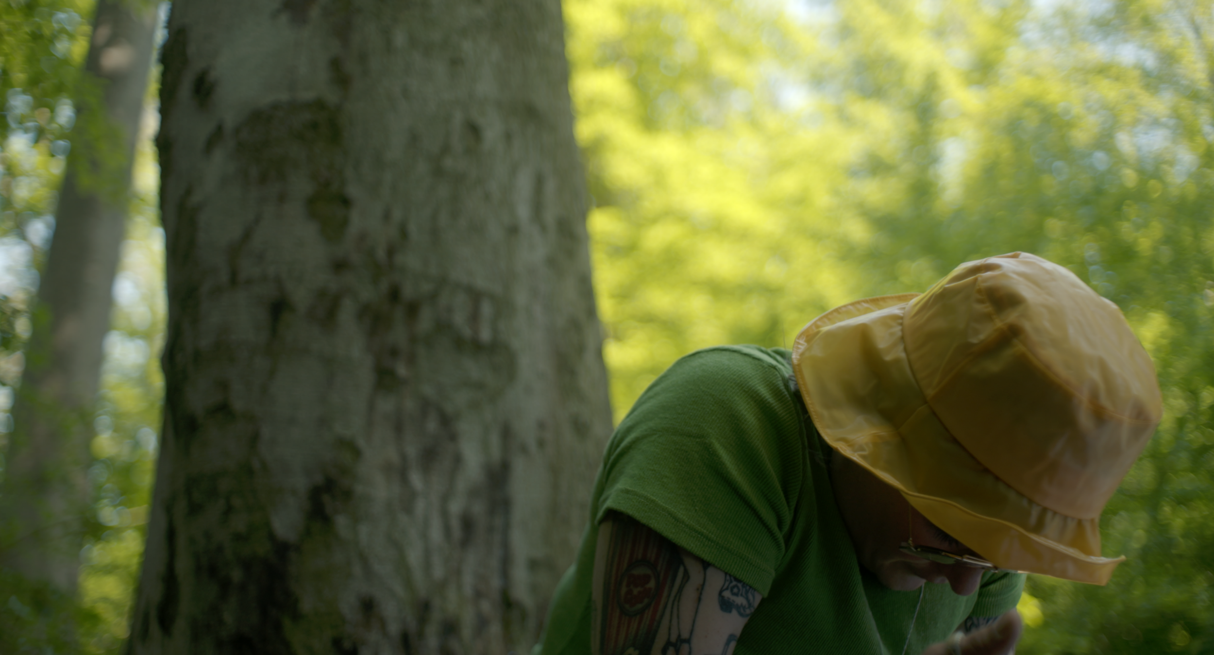 Person mit gelbem Hut und grüner Jacke im Wald, Hinteransicht.