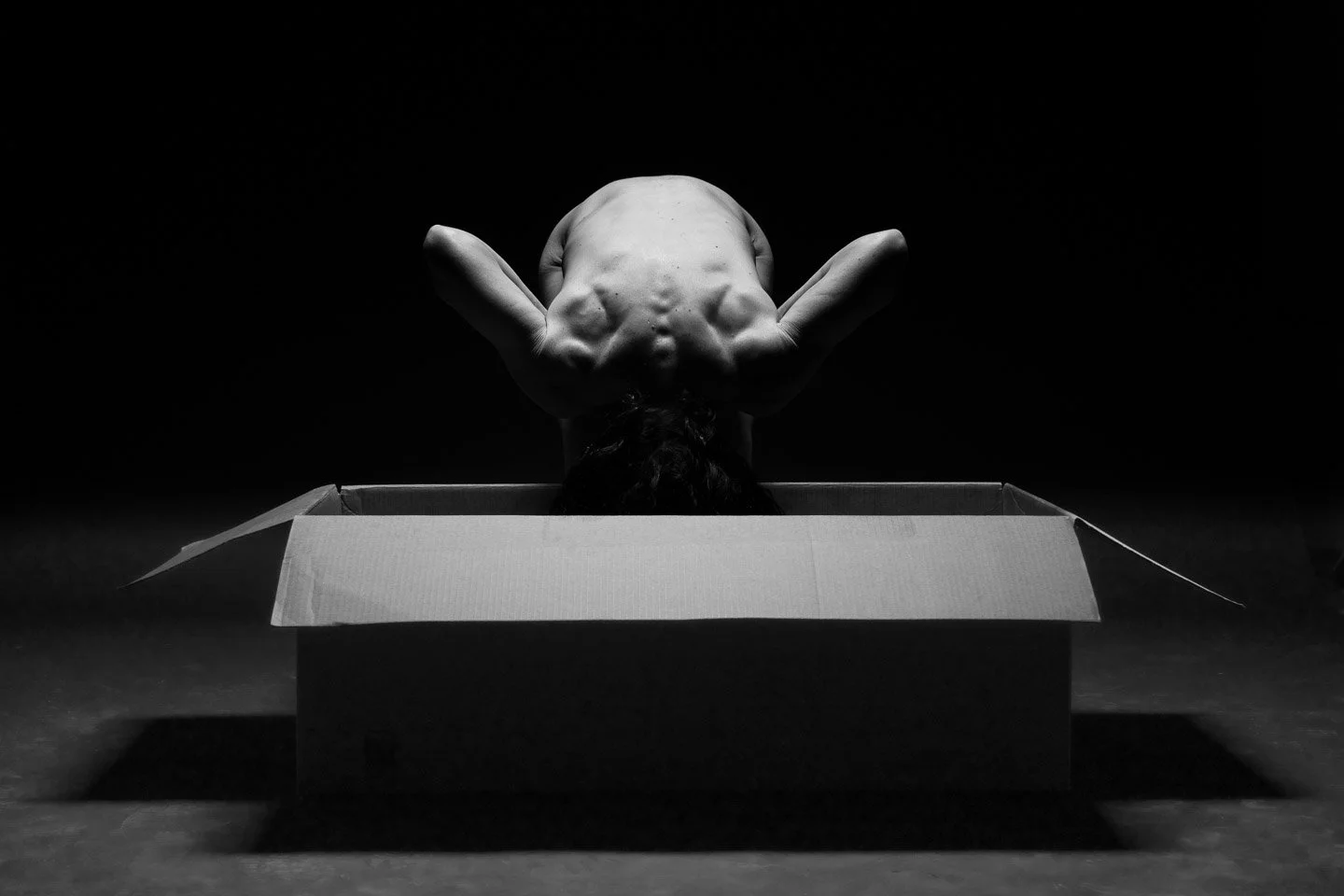 Box Set