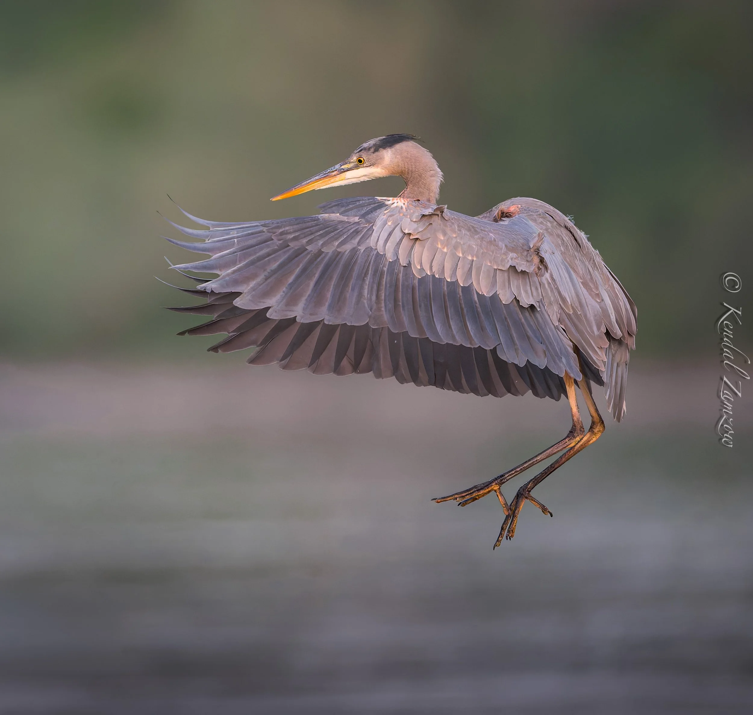 KTZ-April 07, 202609550-DxO_DeepPRIME XD3.jpg