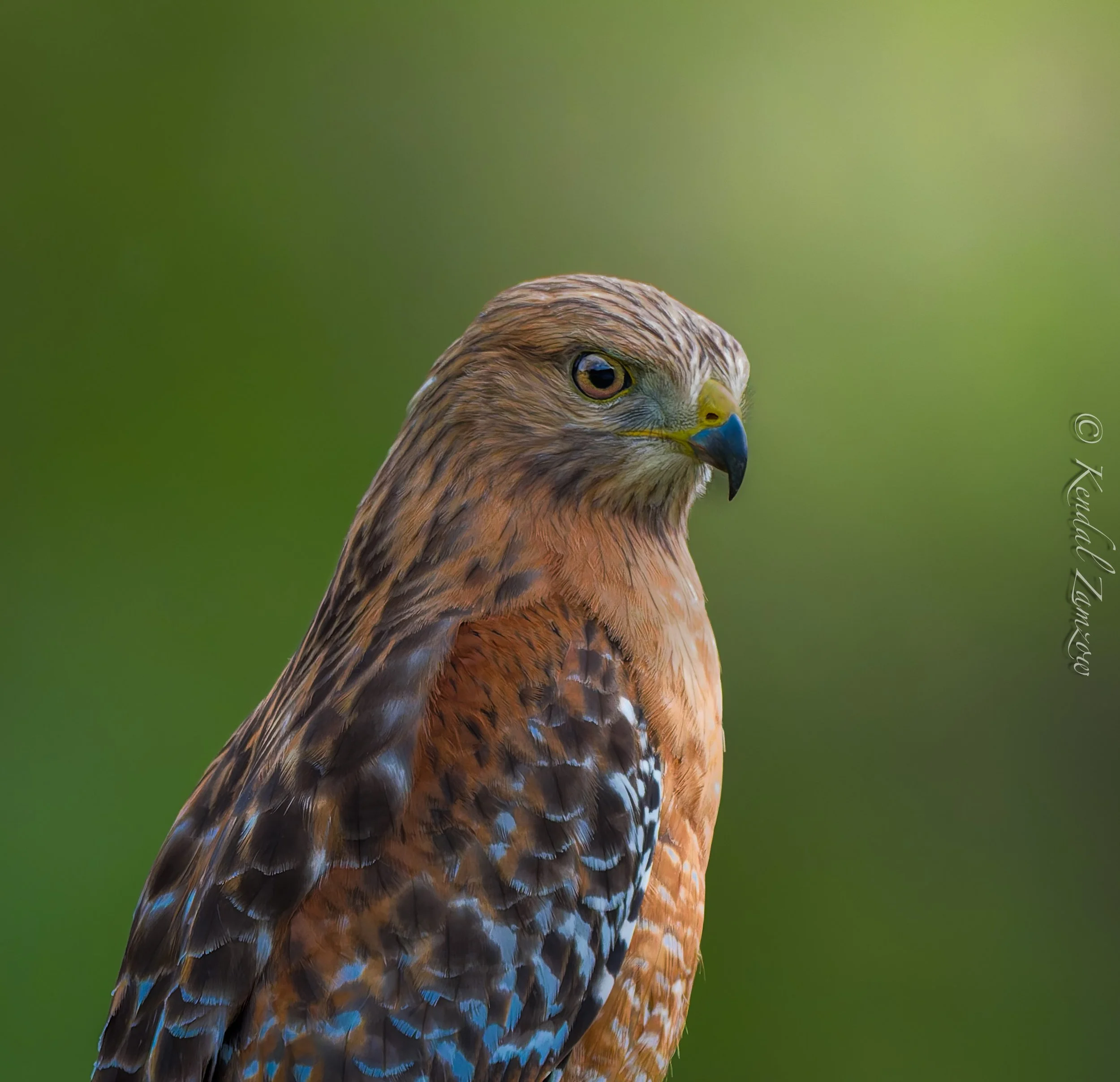 KTZ-April 10, 202601233-DxO_DeepPRIME XD3.jpg