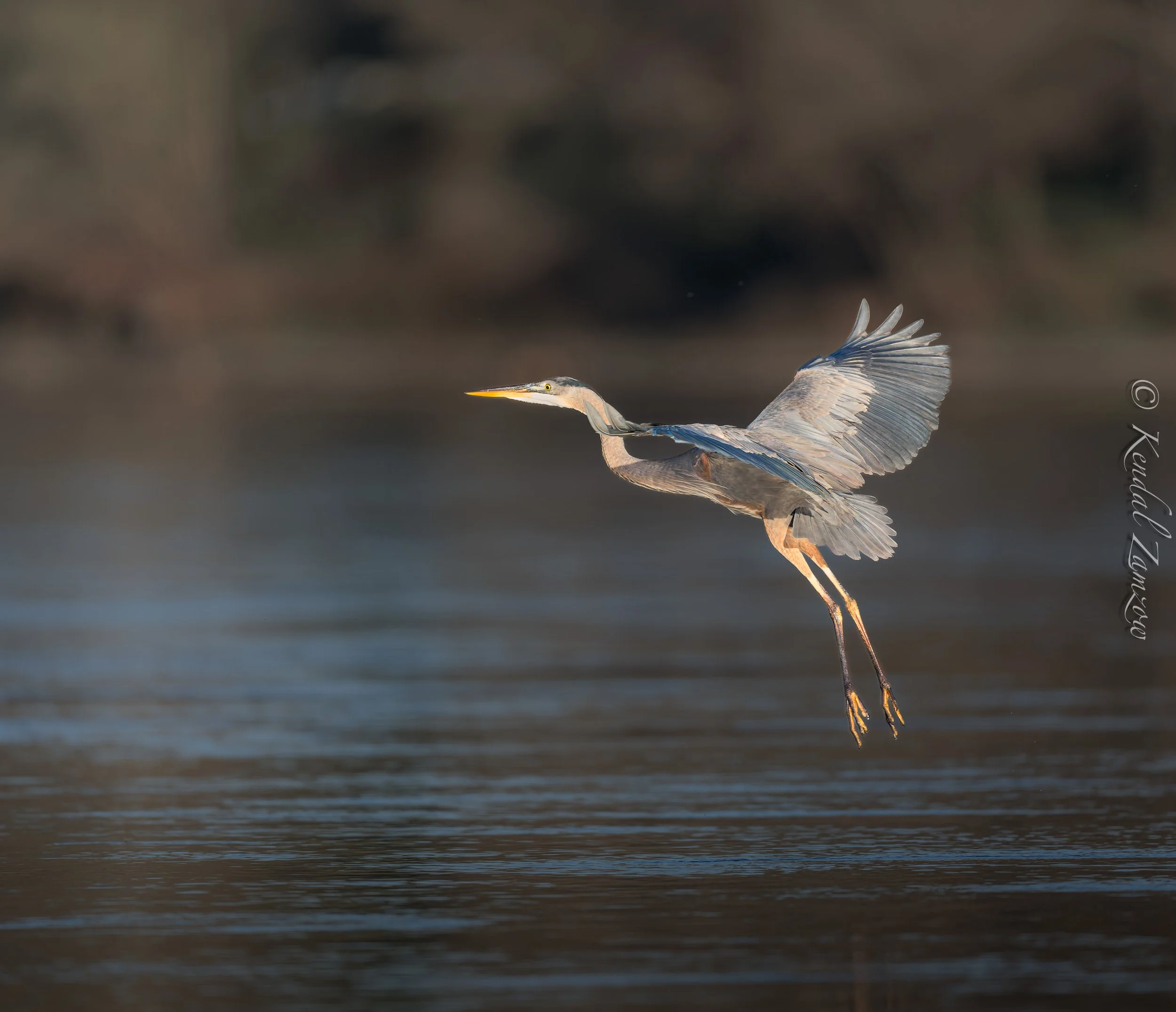 KTZ-March 19, 202608487-DxO_DeepPRIME XD3.jpg