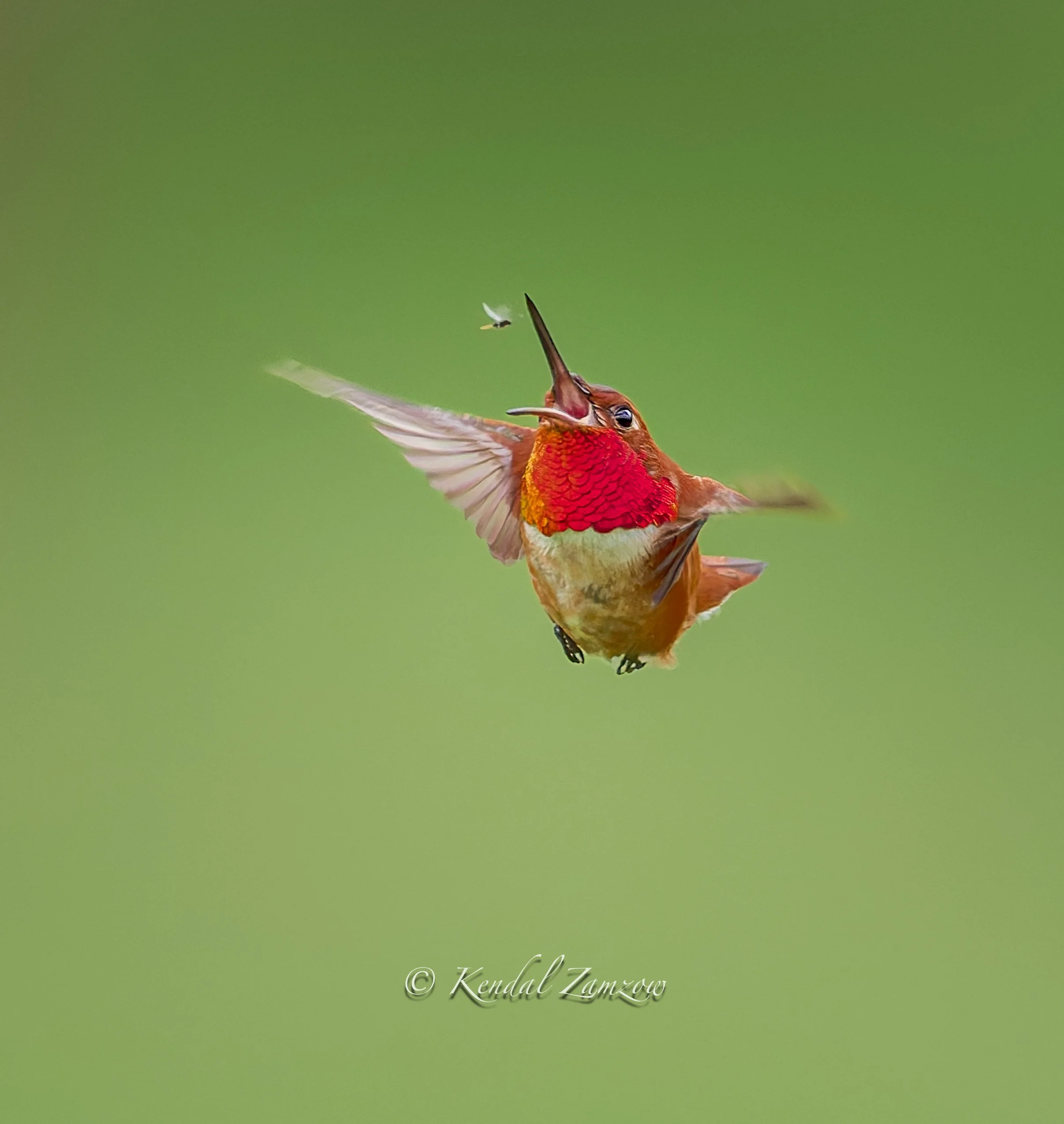 KTZ-April 10, 202601095-DxO_DeepPRIME XD3.jpg