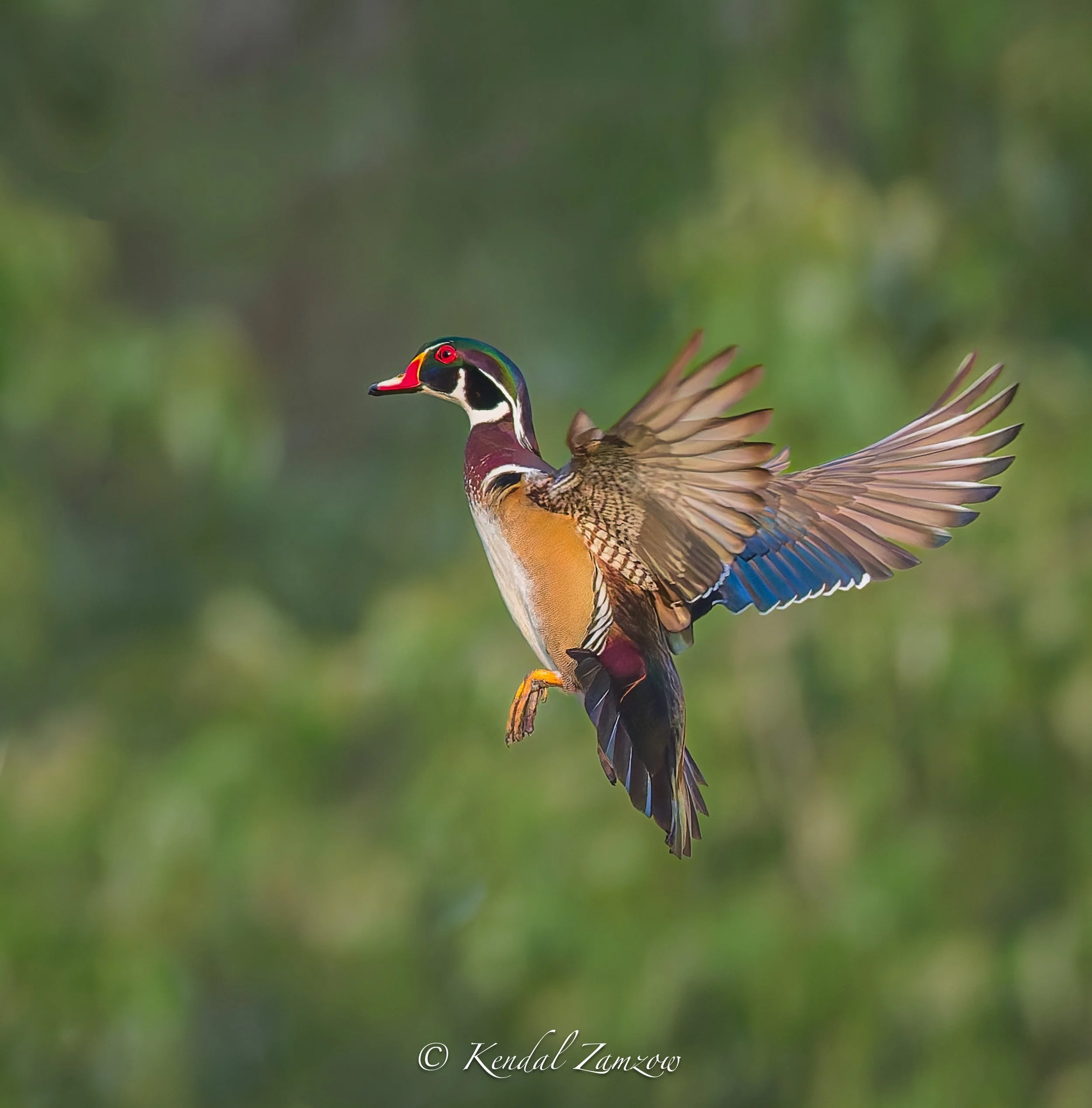 KTZ-April 07, 202609980-DxO_DeepPRIME XD3.jpg