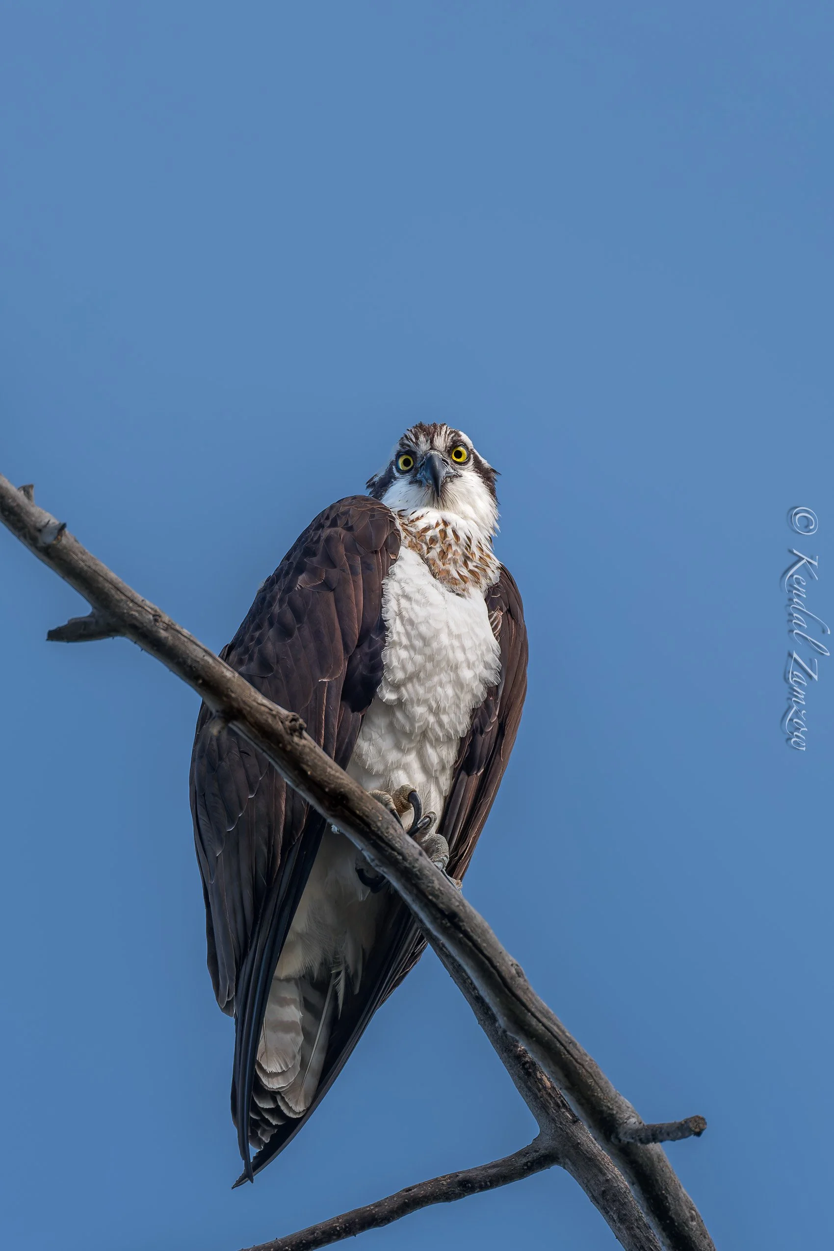 KTZ-March 28, 202600271-DxO_DeepPRIME XD3.jpg