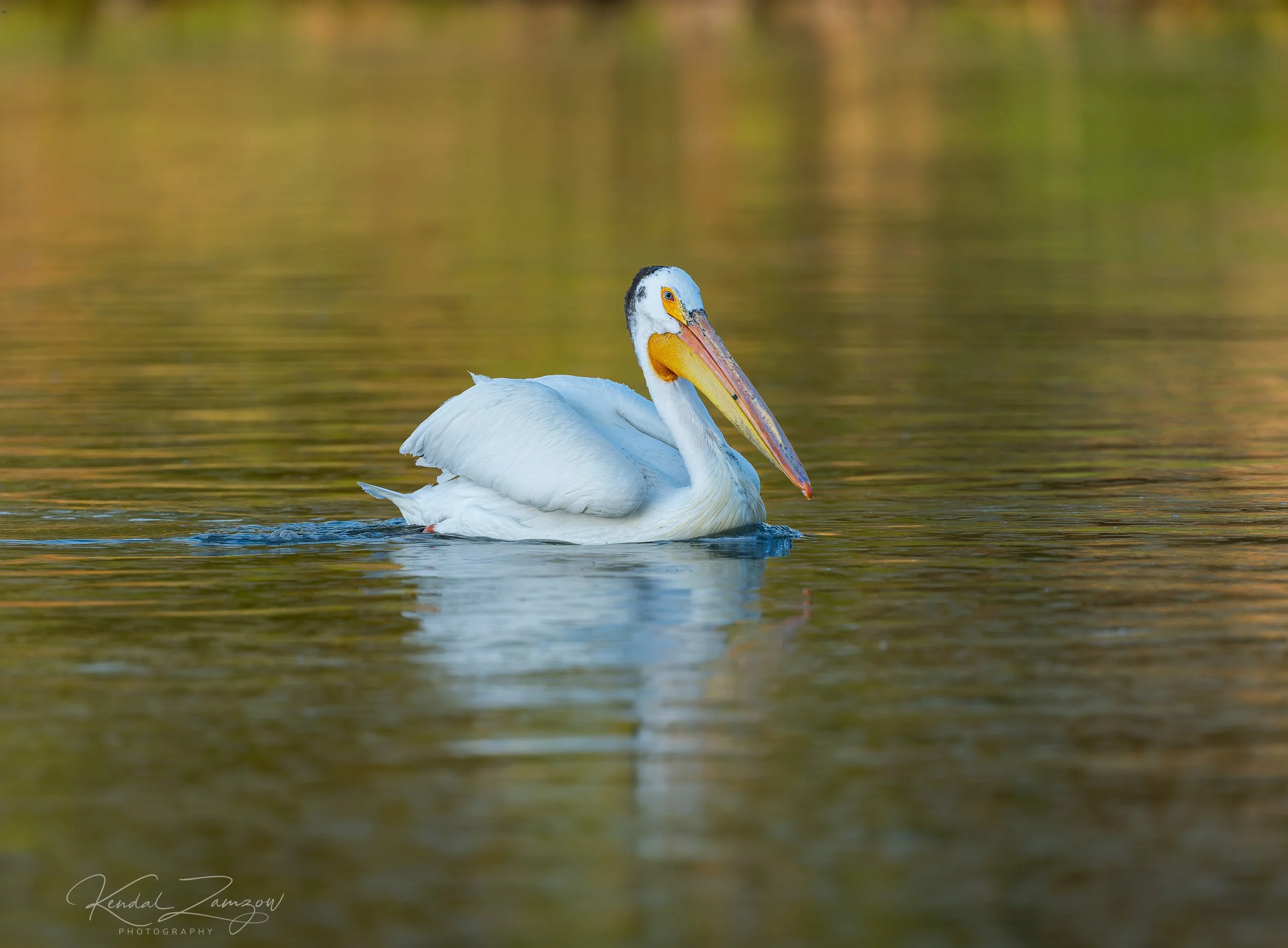 KTZ04962-DxO_DeepPRIME XD32026133.jpg