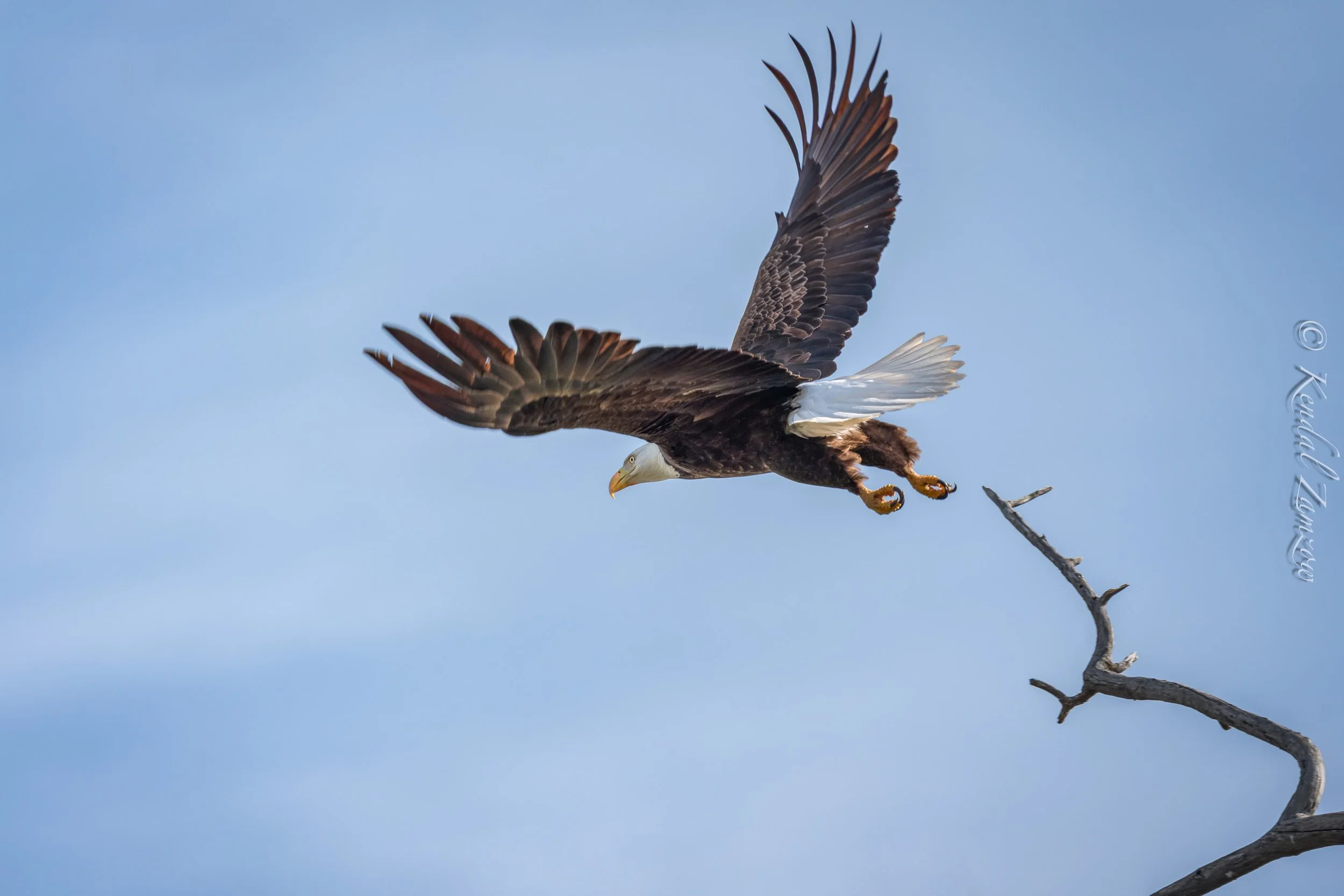 KTZ-March 11, 202603778-Edit.jpg