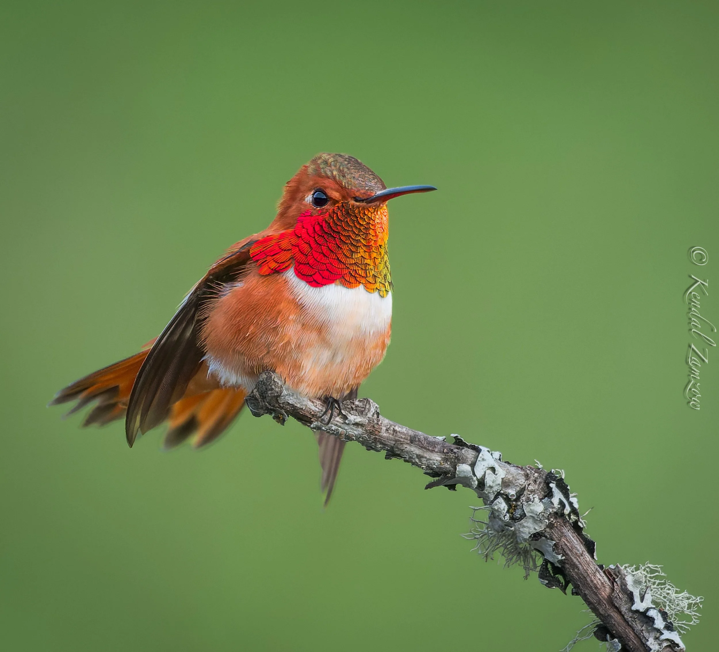 KTZ-April 04, 202607761-DxO_DeepPRIME XD3.jpg