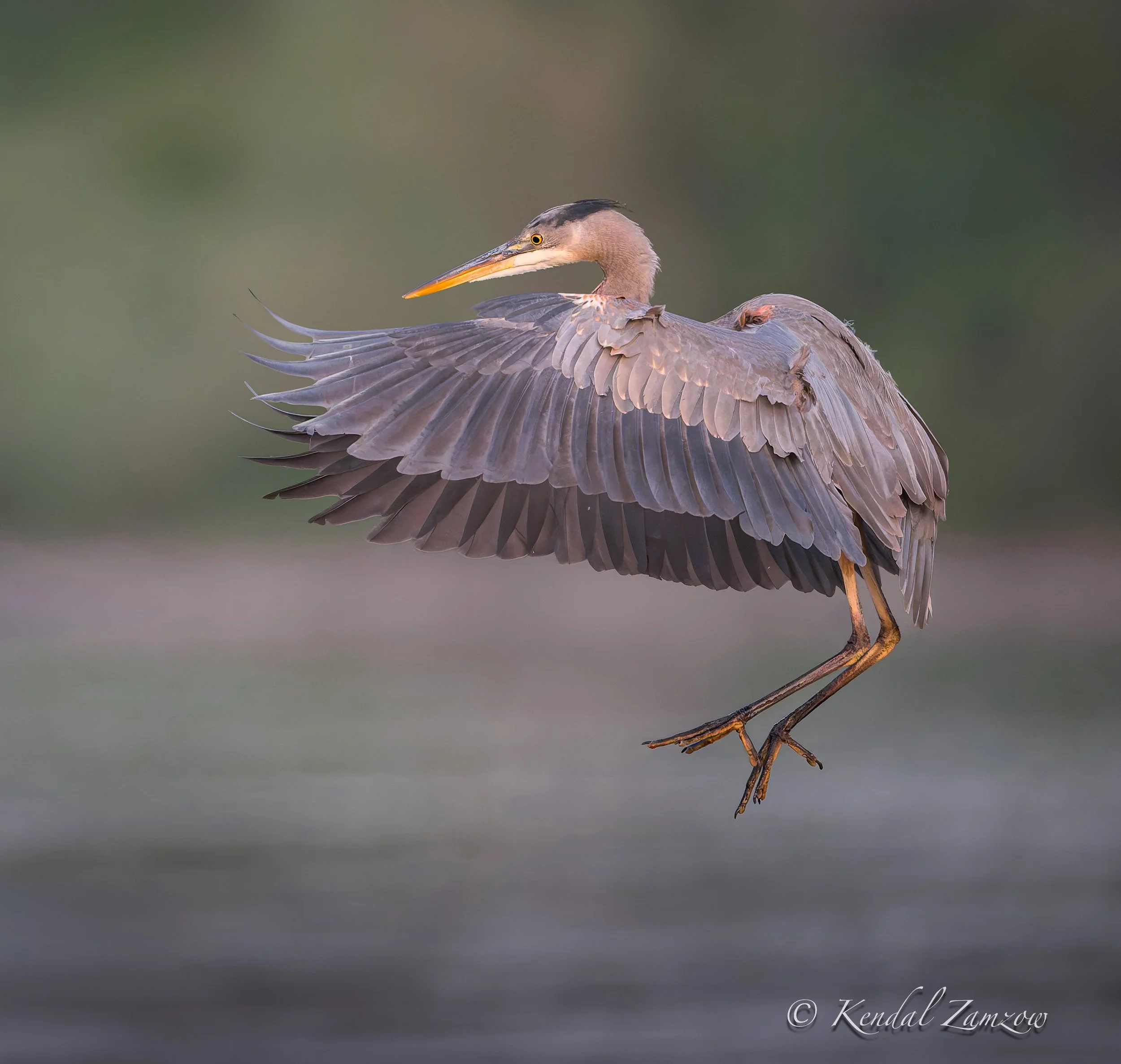 KTZ-April 07, 202609550-DxO_DeepPRIME XD3.jpg