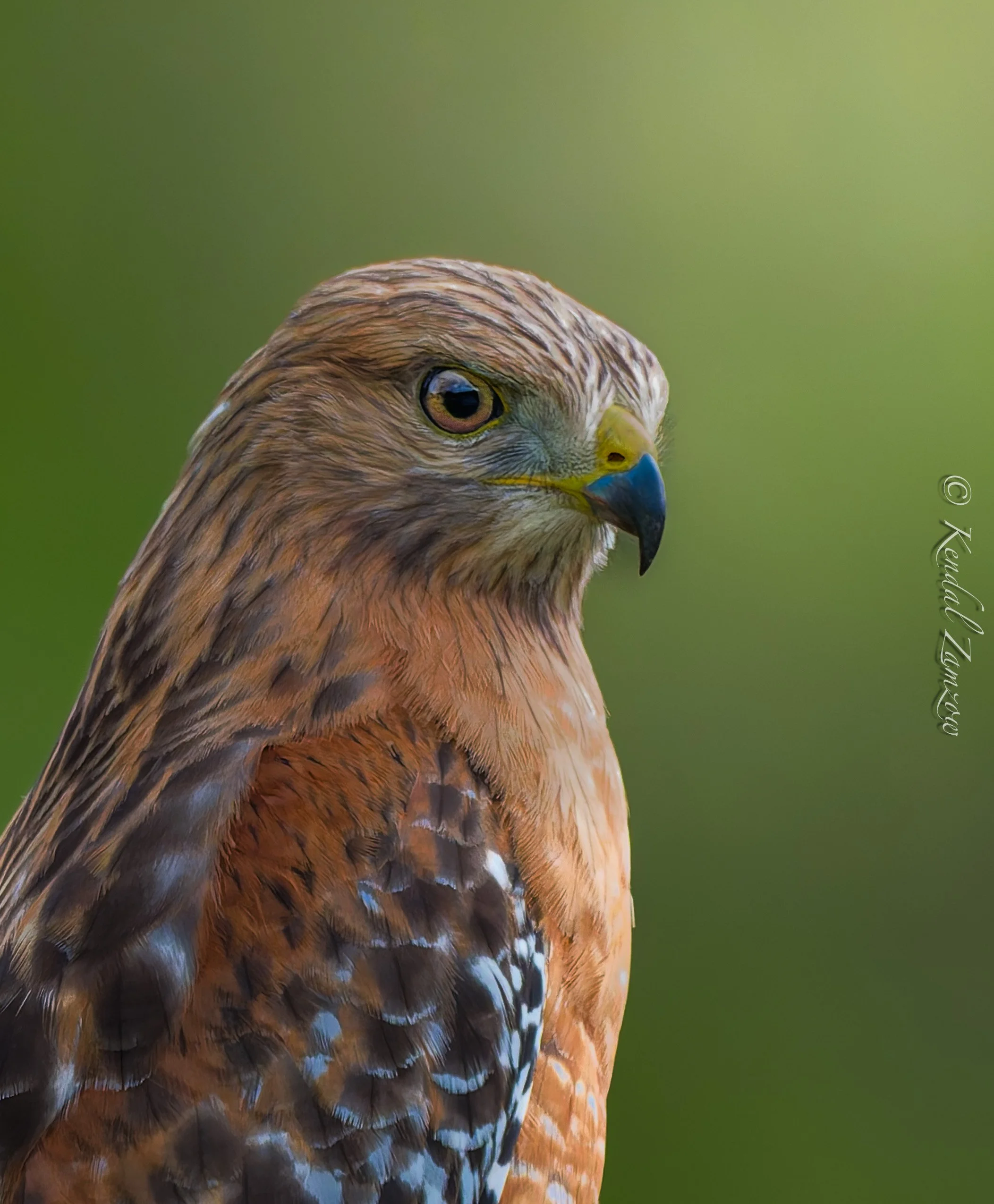 KTZ-April 10, 202601233-DxO_DeepPRIME XD3.jpg