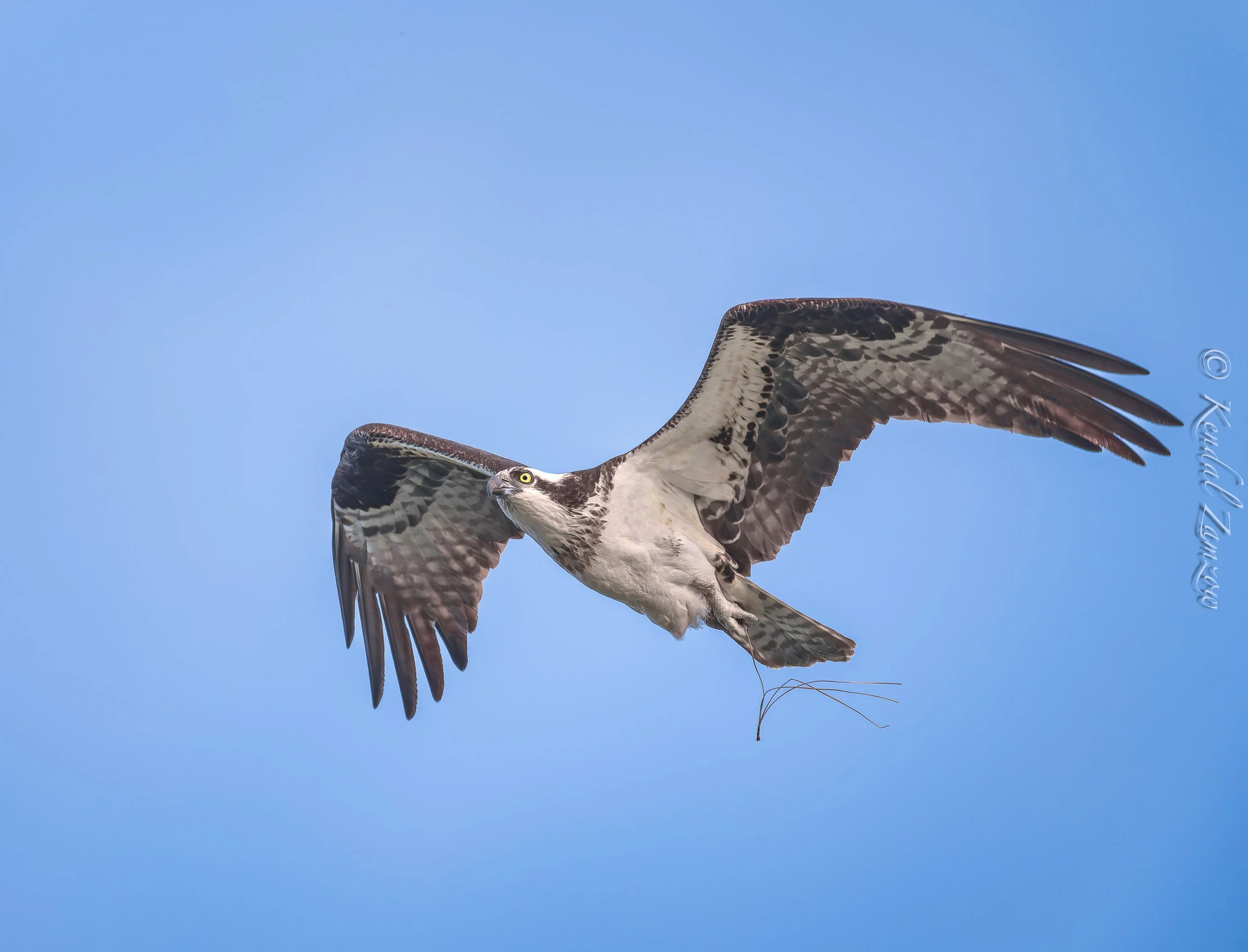 KTZ-April 14, 202603256-DxO_DeepPRIME XD3.jpg