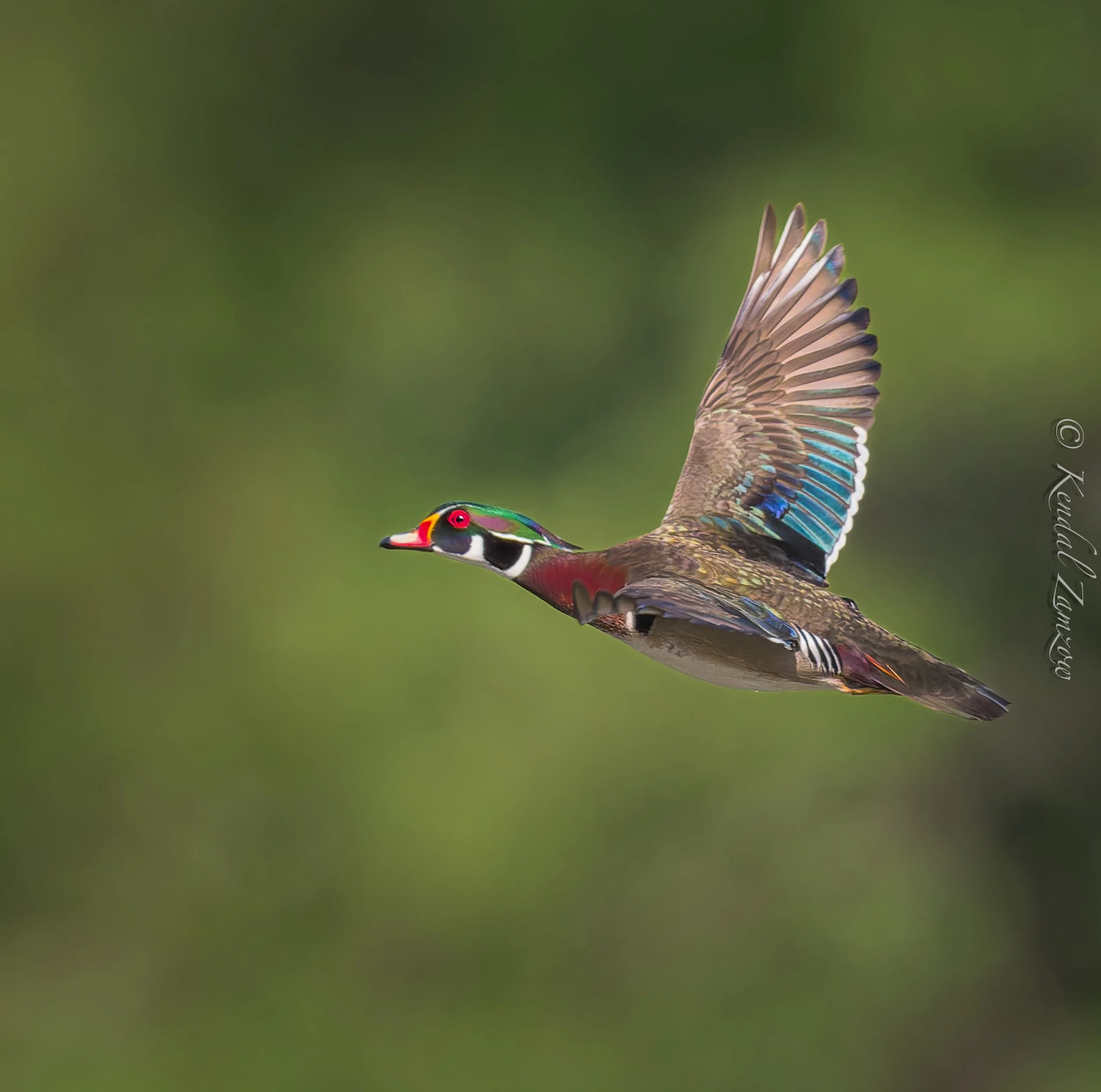 KTZ-April 14, 202603615-DxO_DeepPRIME XD3.jpg