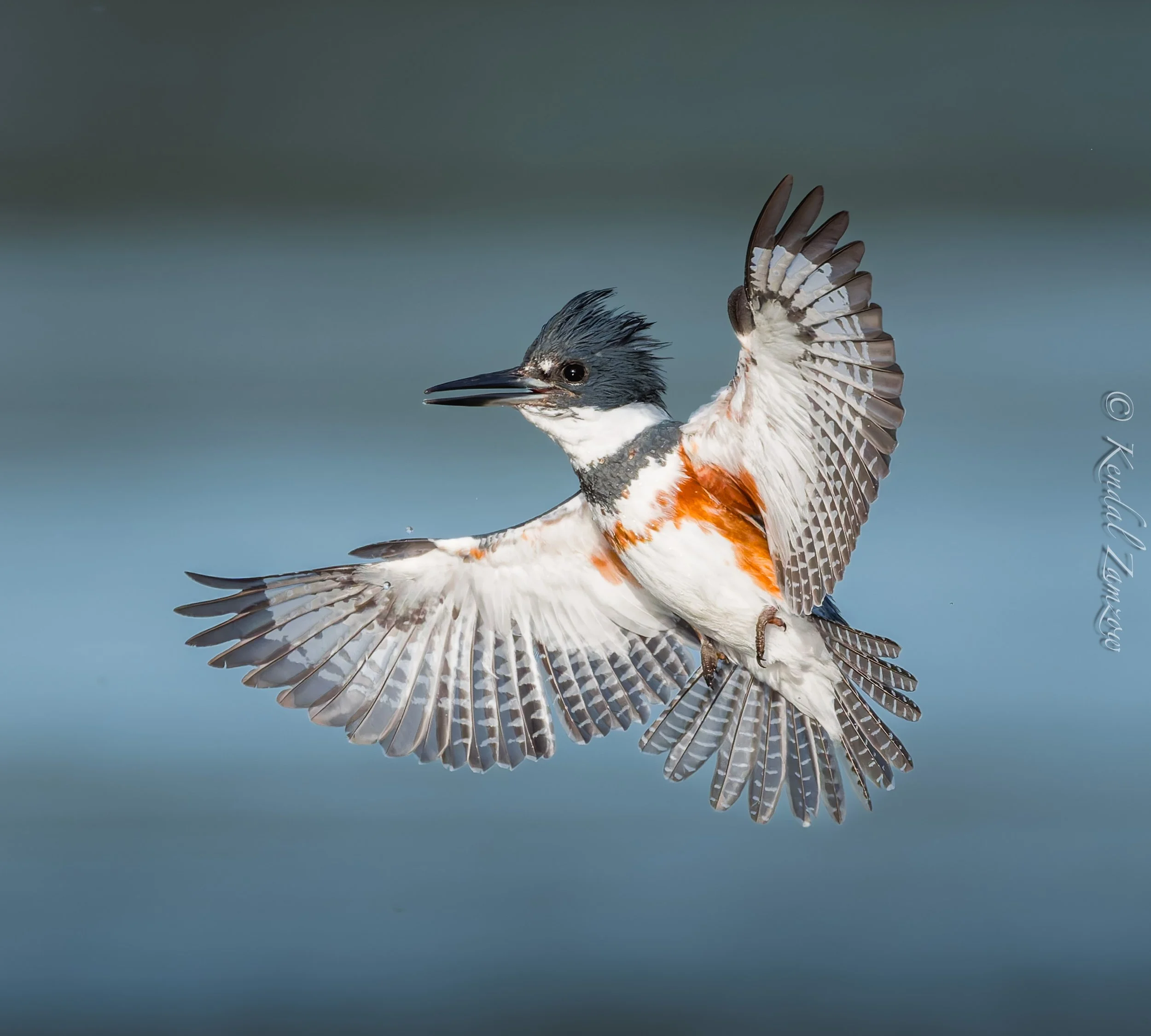 KTZ-March 28, 202609799-DxO_DeepPRIME XD3.jpg