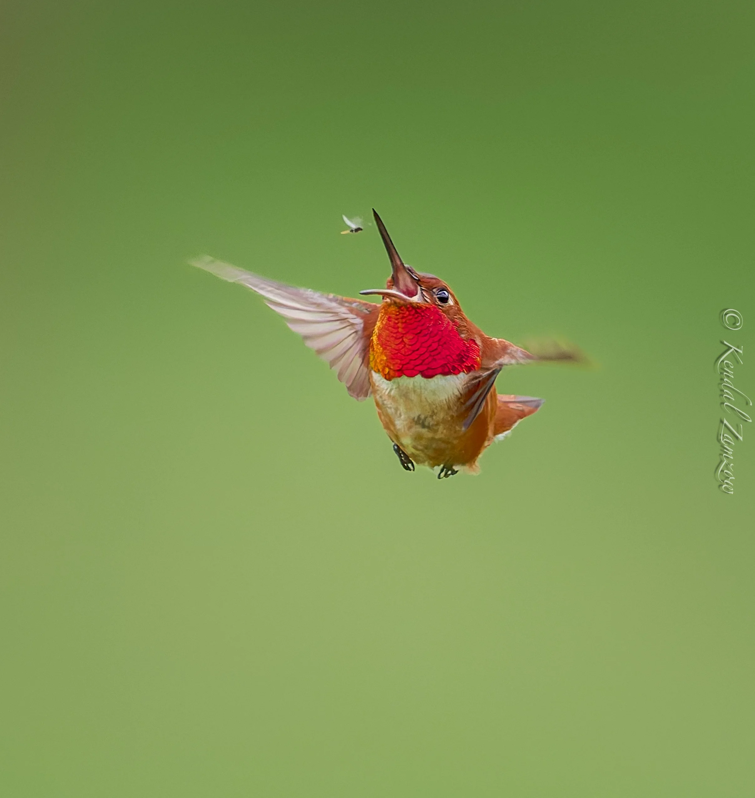 KTZ-April 10, 202601095-DxO_DeepPRIME XD3.jpg