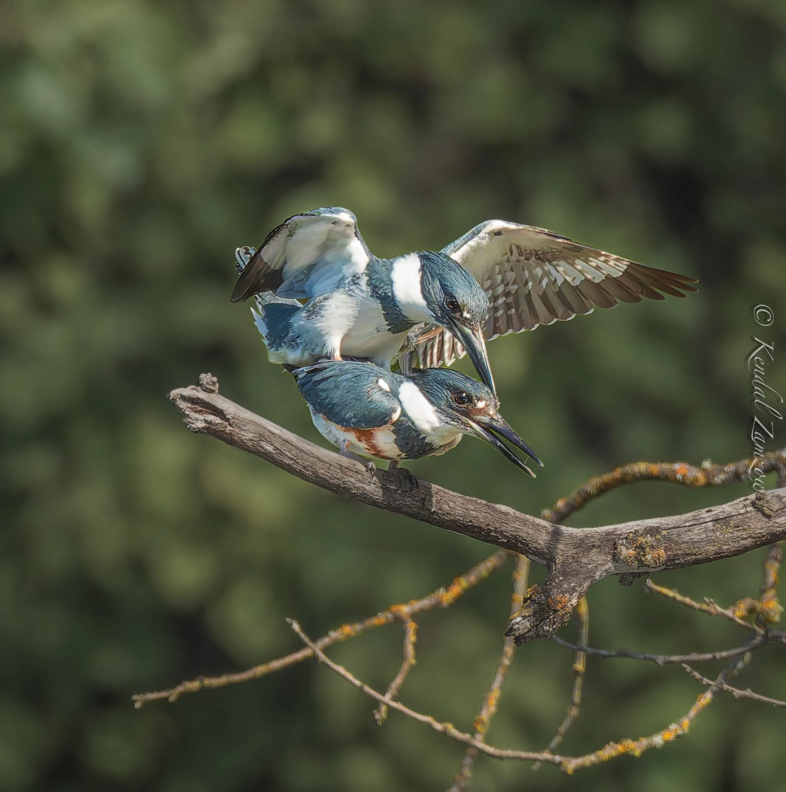 KTZ-March 28, 202600842-DxO_DeepPRIME XD3.jpg