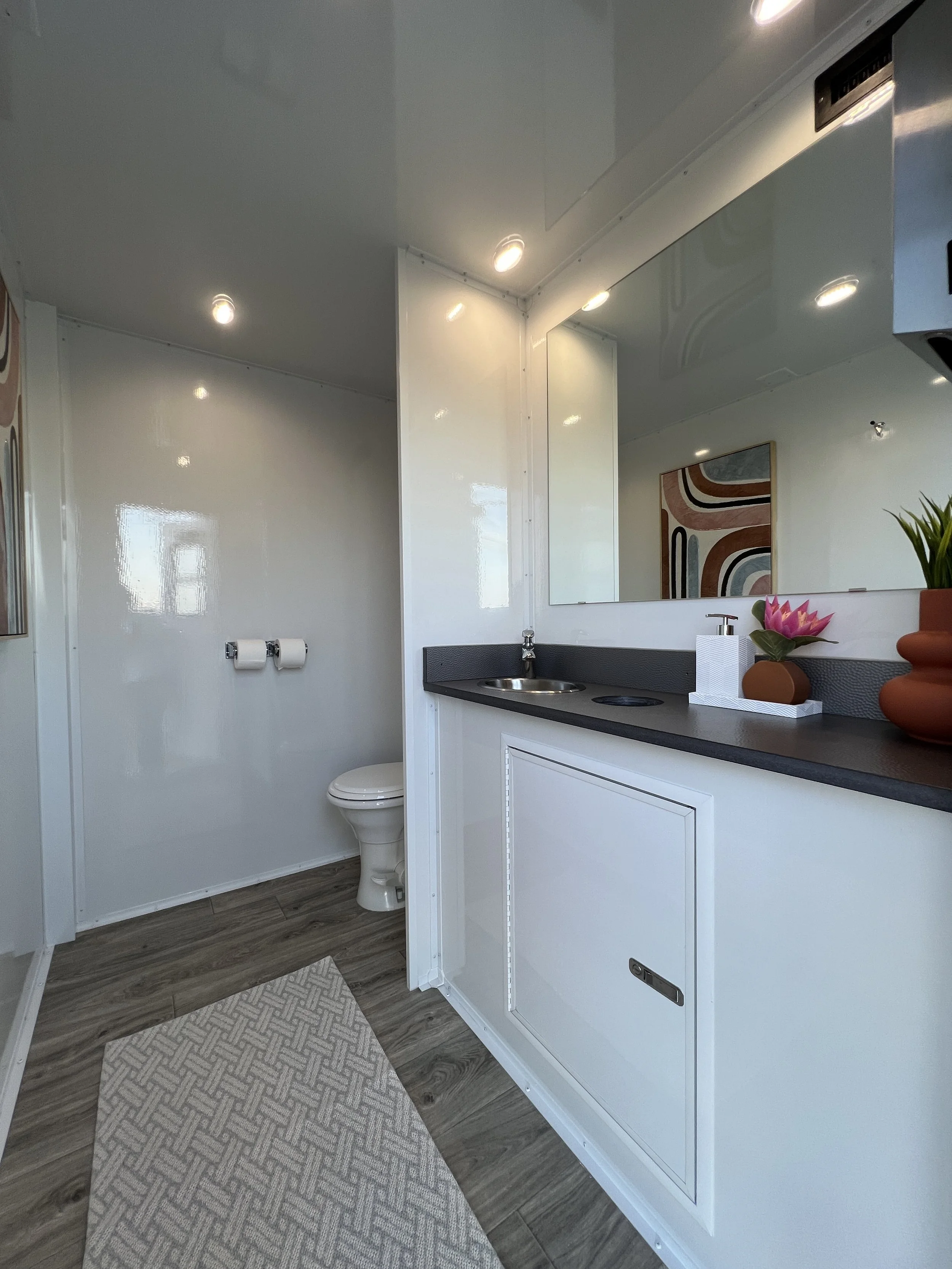 Small bathroom with white walls, a toilet with dual toilet paper rolls, black countertop with a small sink, a tissue box, and potted plants on the countertop, artwork on the wall, and wood-effect flooring.