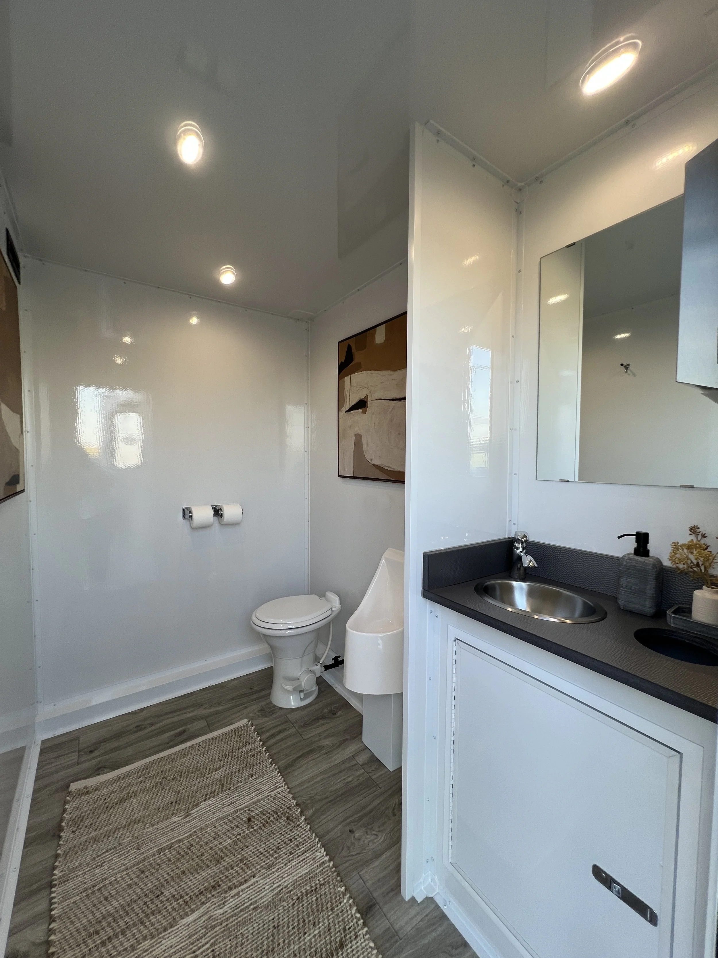 A small, modern bathroom with a toilet, a urinal, a sink with a mirror, artwork on the wall, and a woven rug on a wood-look tile floor.