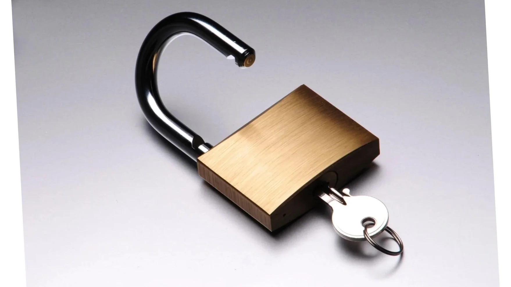 Bold Confident Assertive