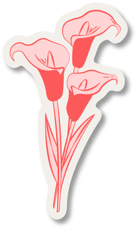 Illustration of three pink calla lily flowers with long stems.