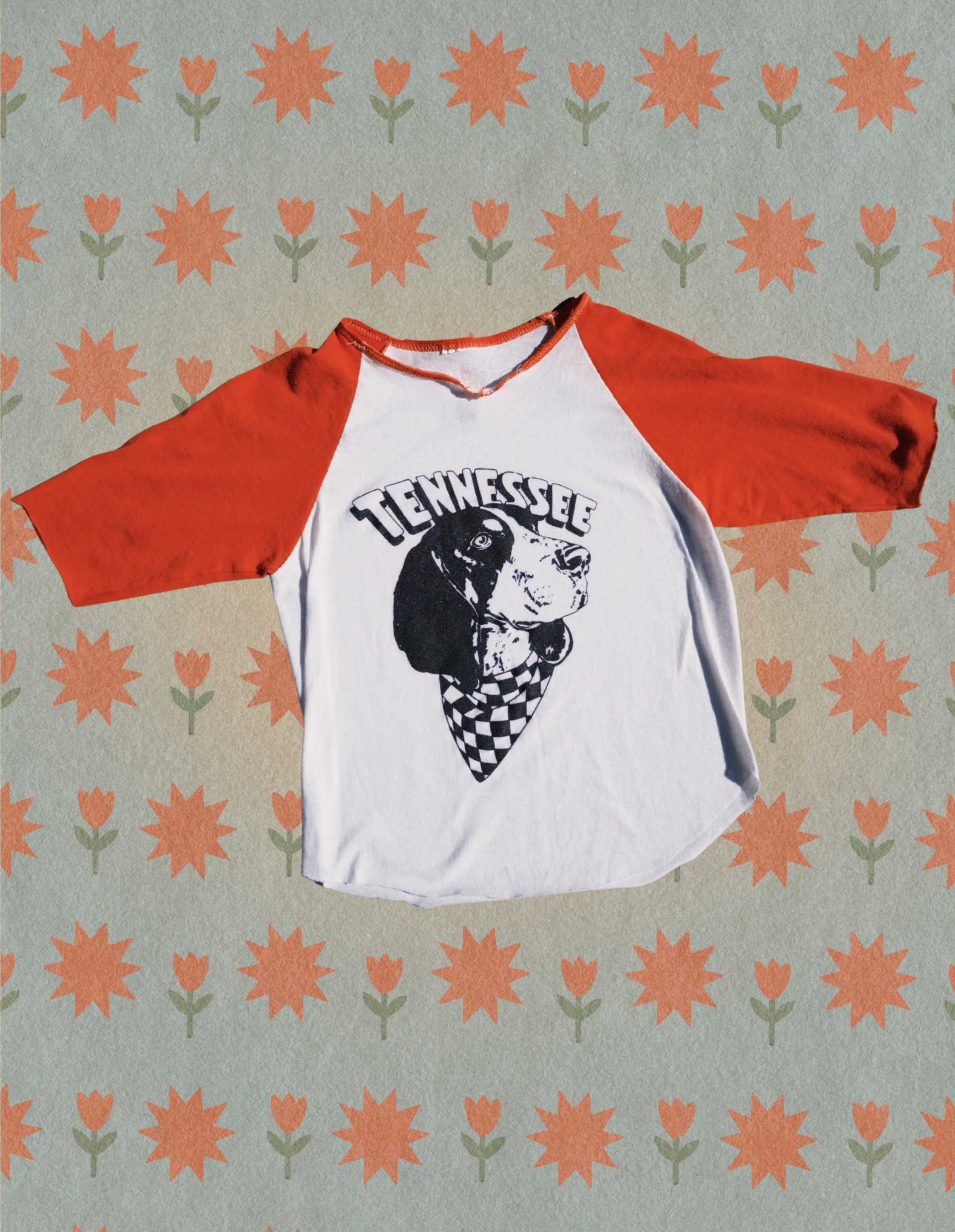 Tenessee Rocky Ringer Tee