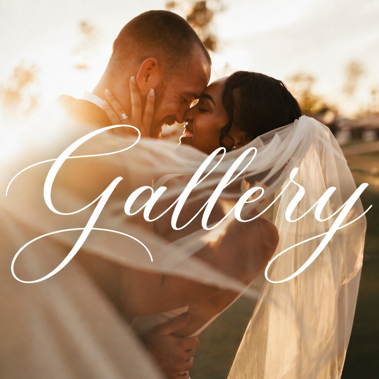 Button to Gallery Page
