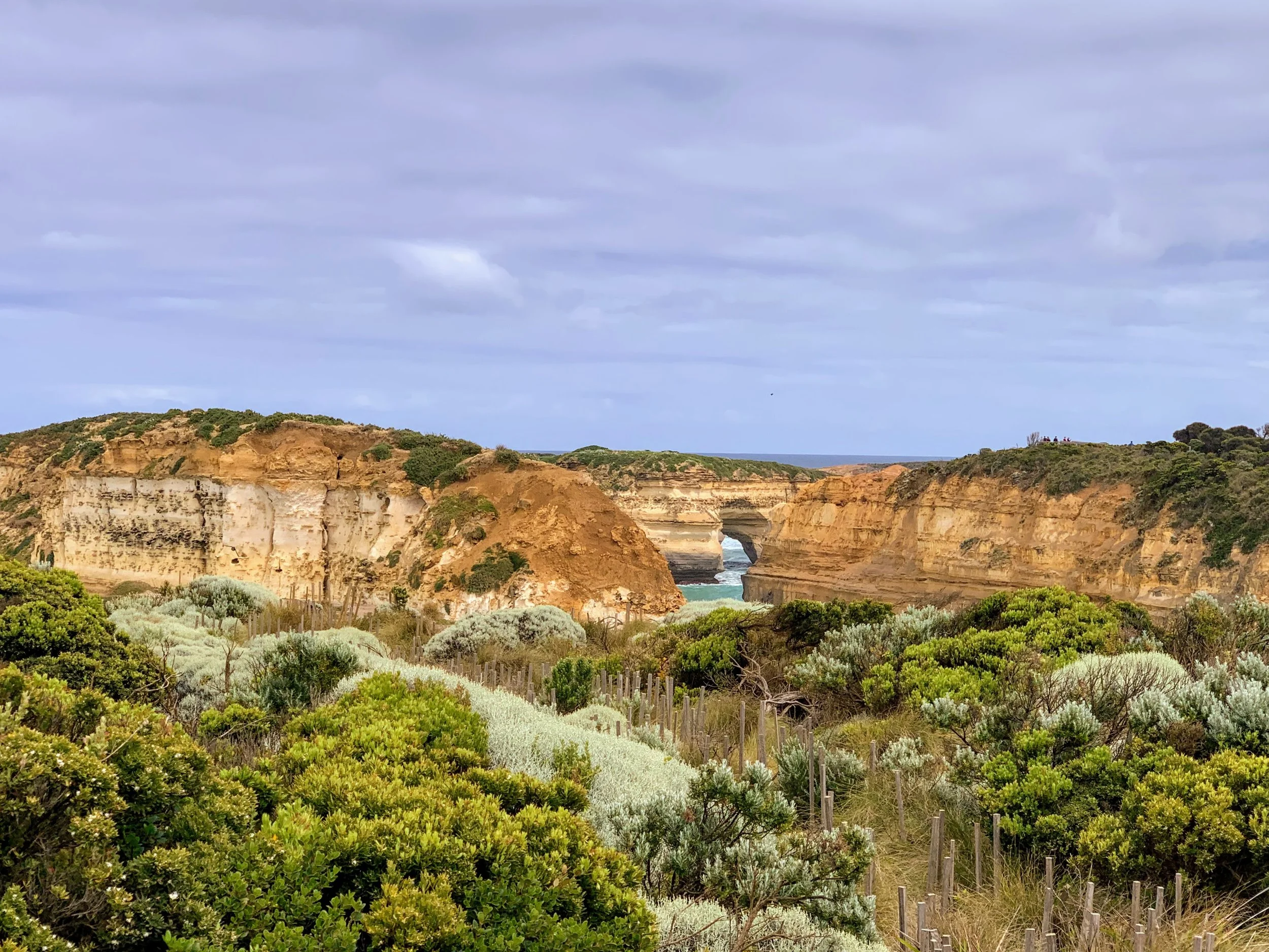 Along the Great Ocean Road, Victoria, Australia. November 2019.