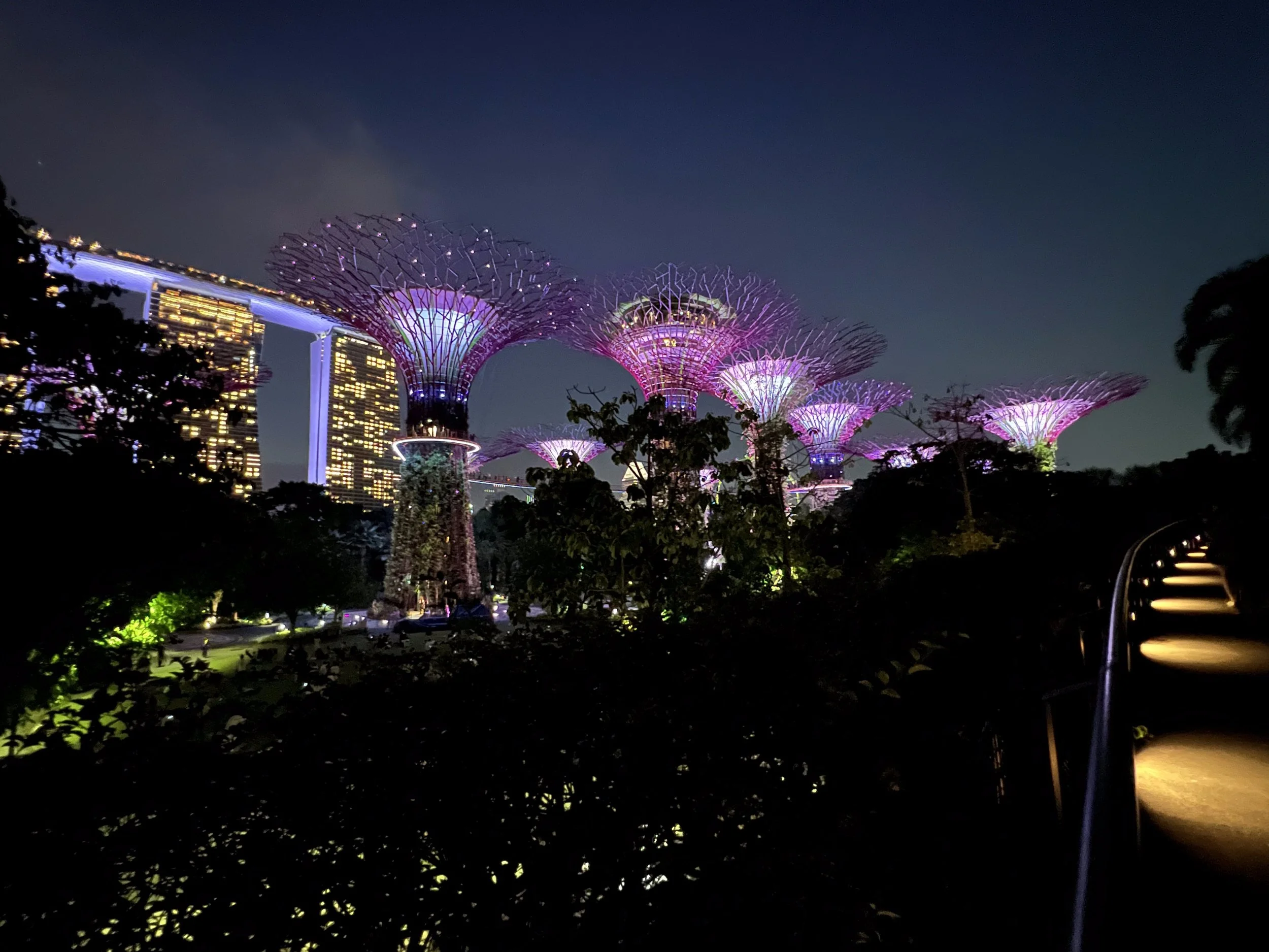 The supertree grove at the Garden's By the Bay in Singapore lit up at night. They put on a really cool nightly light and music show. May 2025. 