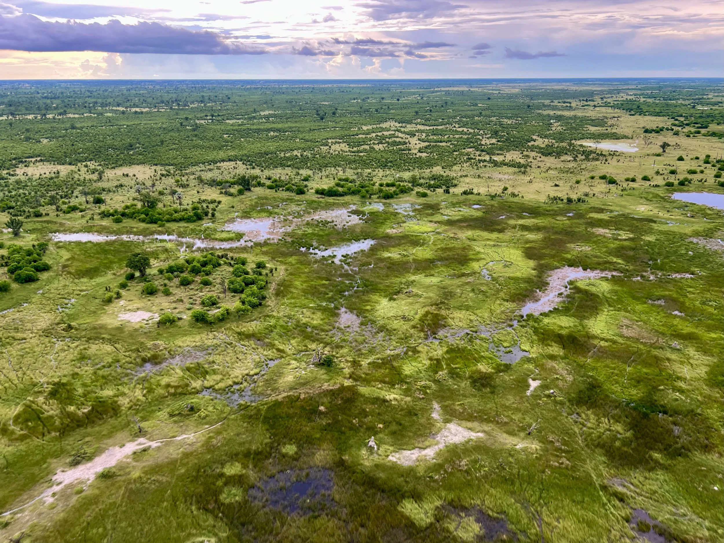 The Okavango River Delta, Botswana from a tiny helicopter with no doors. My first heli ride and I loved it! February 2026.