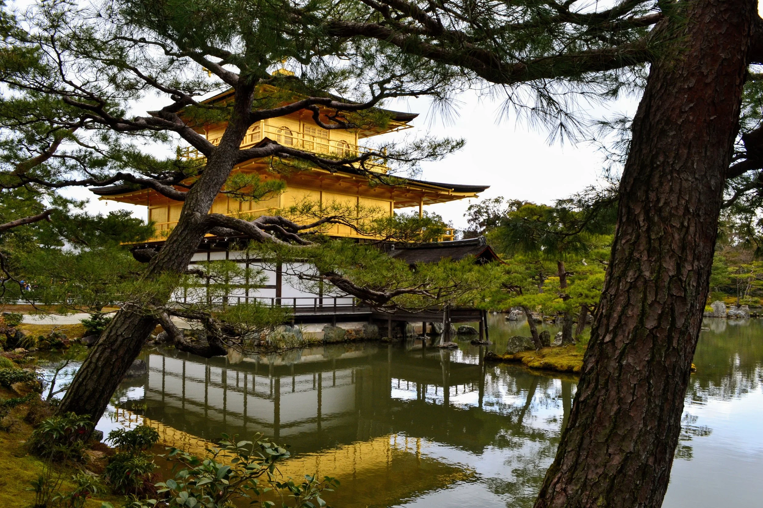 Another view of Kinkaku-ji, Kyoto, Japan. Sometimes I see these shots and think I'm looking at a standard screensaver! February/ March 2014. 