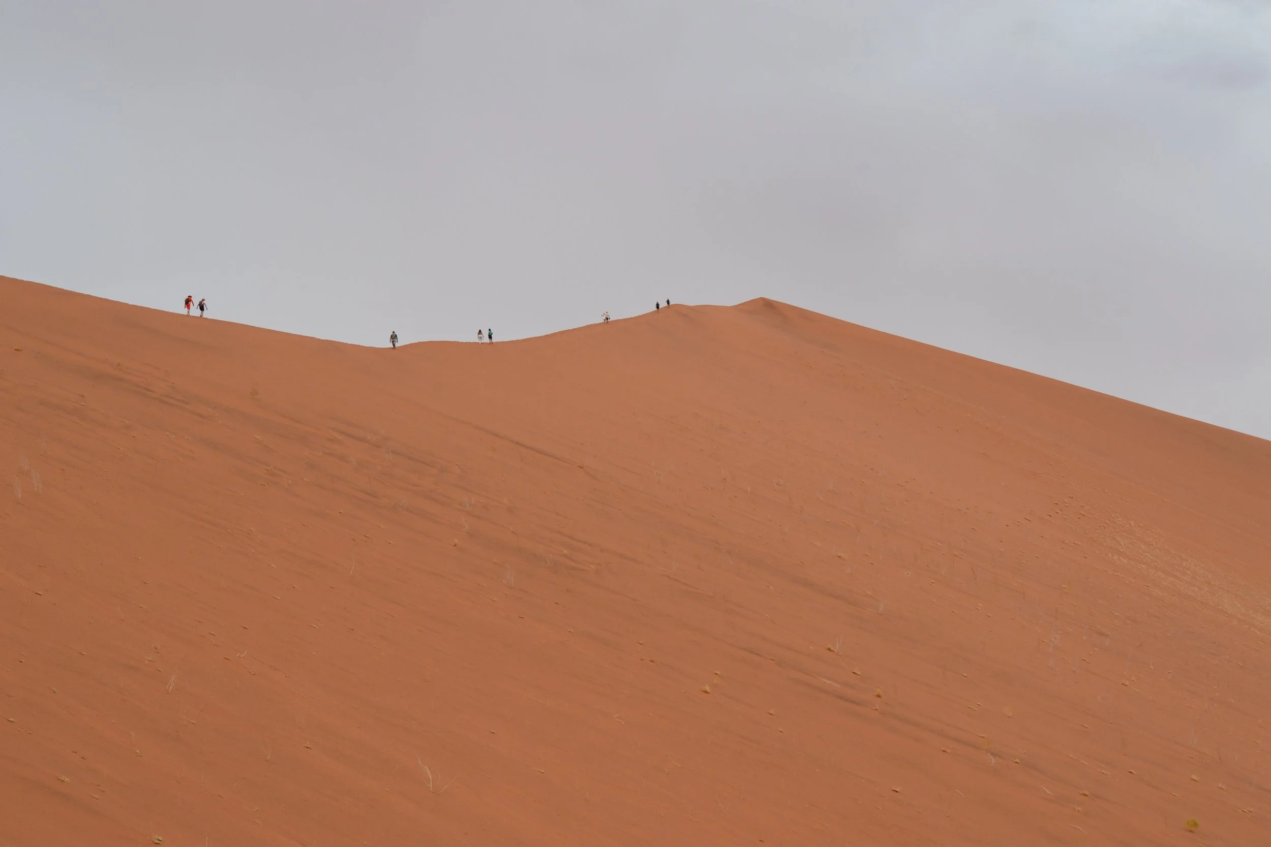 The beautiful red inland dunes of the Namib Desert, near Sossusvlei, Namibia. February 2026.  