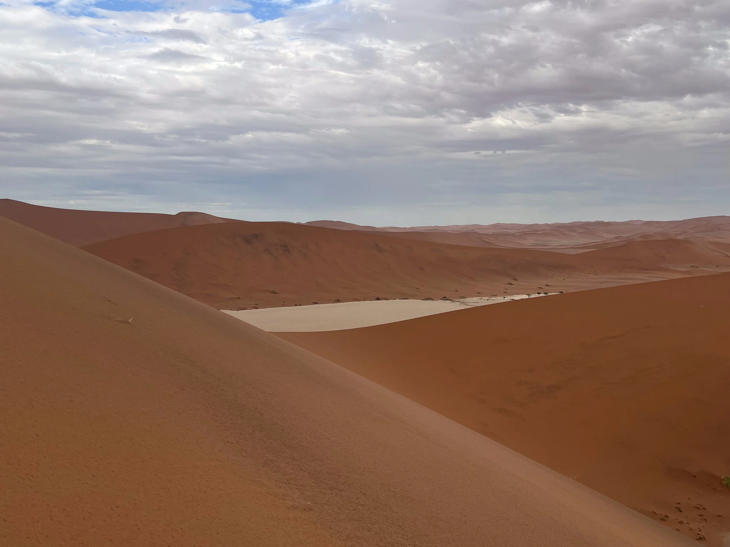 The beautiful red inland dunes of the Namib Desert, near Sossusvlei, Namibia. February 2026.  