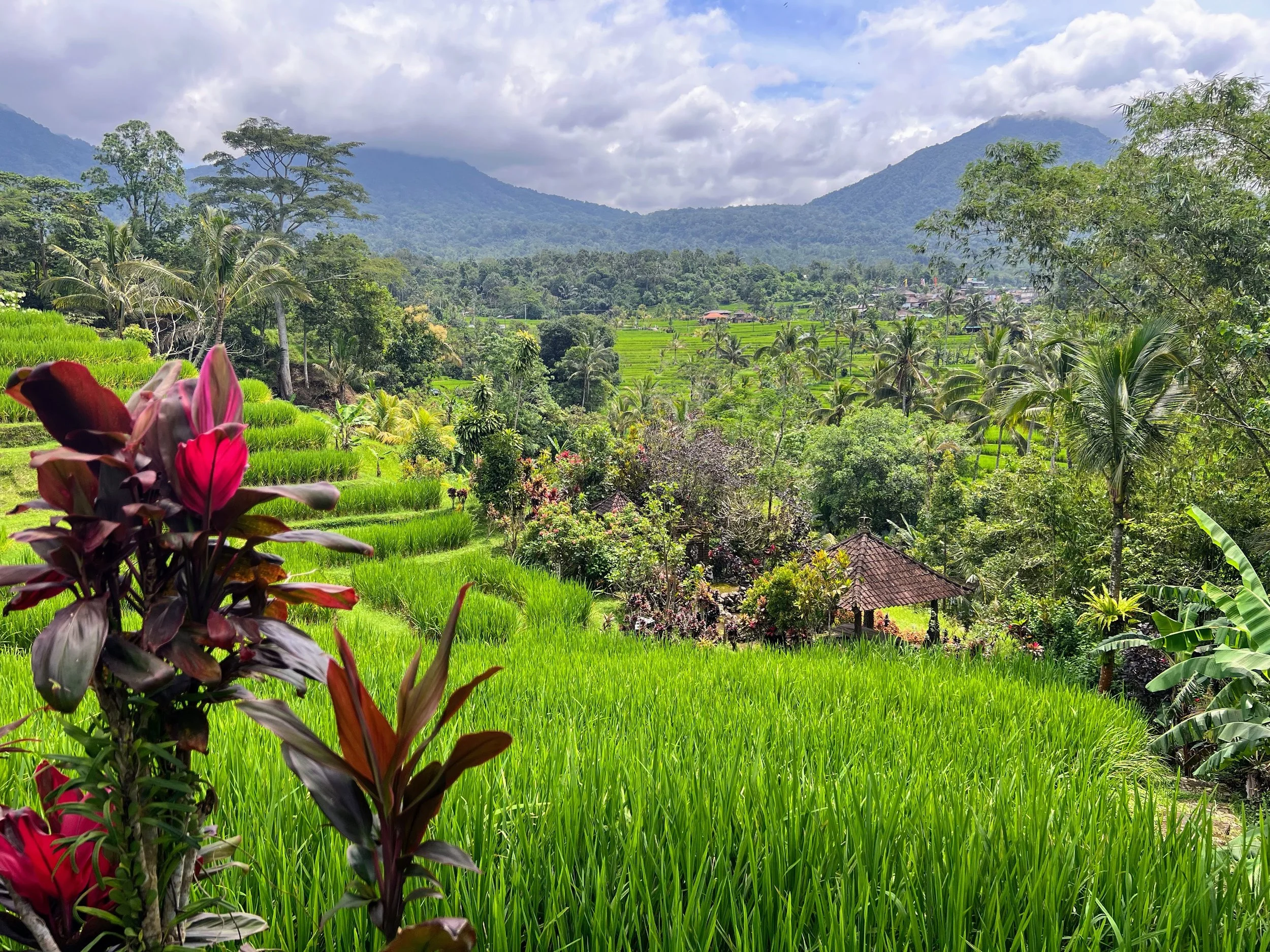 Jatiluwih, Bali, Indonesia. May 2025. 