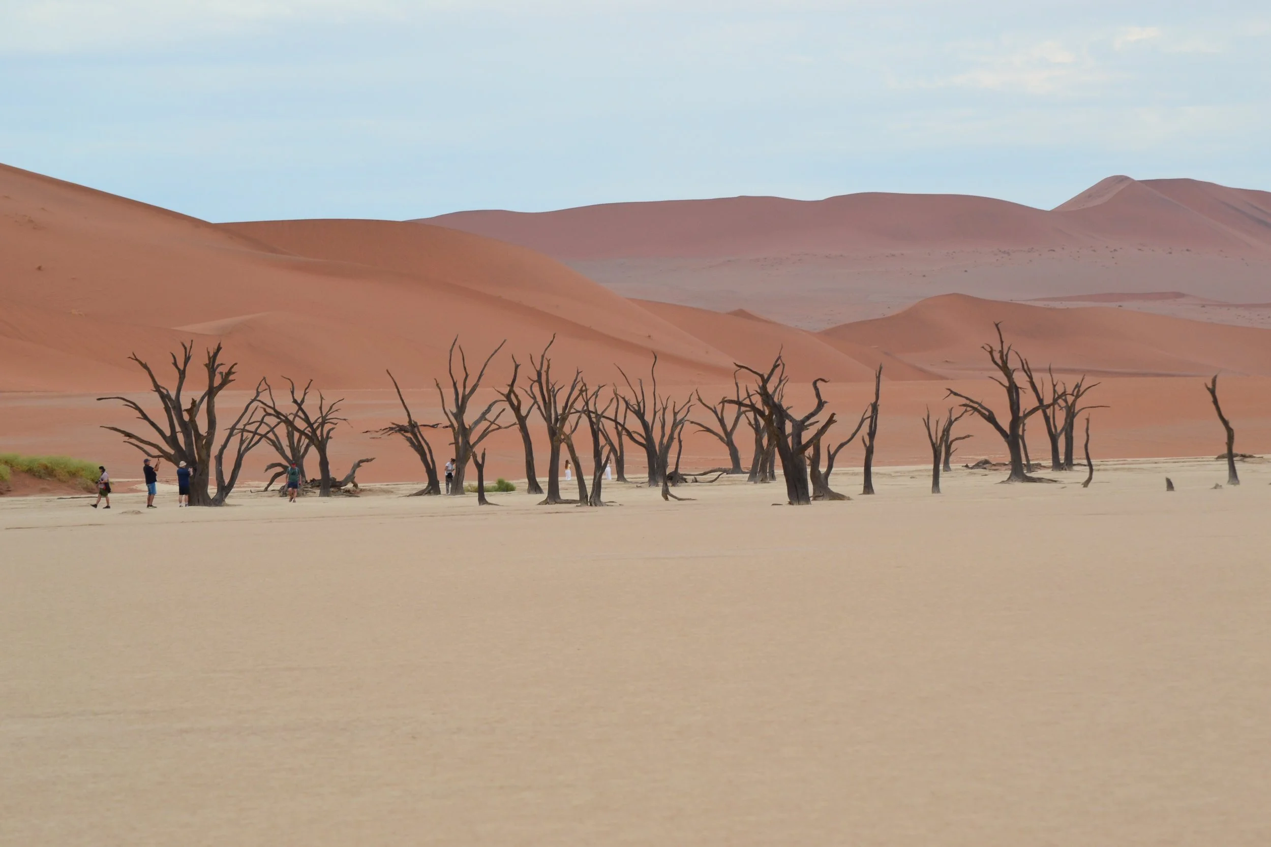The beautiful red dunes of Deadvlei, part of the inland Namib Desert in Namib-Naukluft National Park, Namibia. February 2026. 
