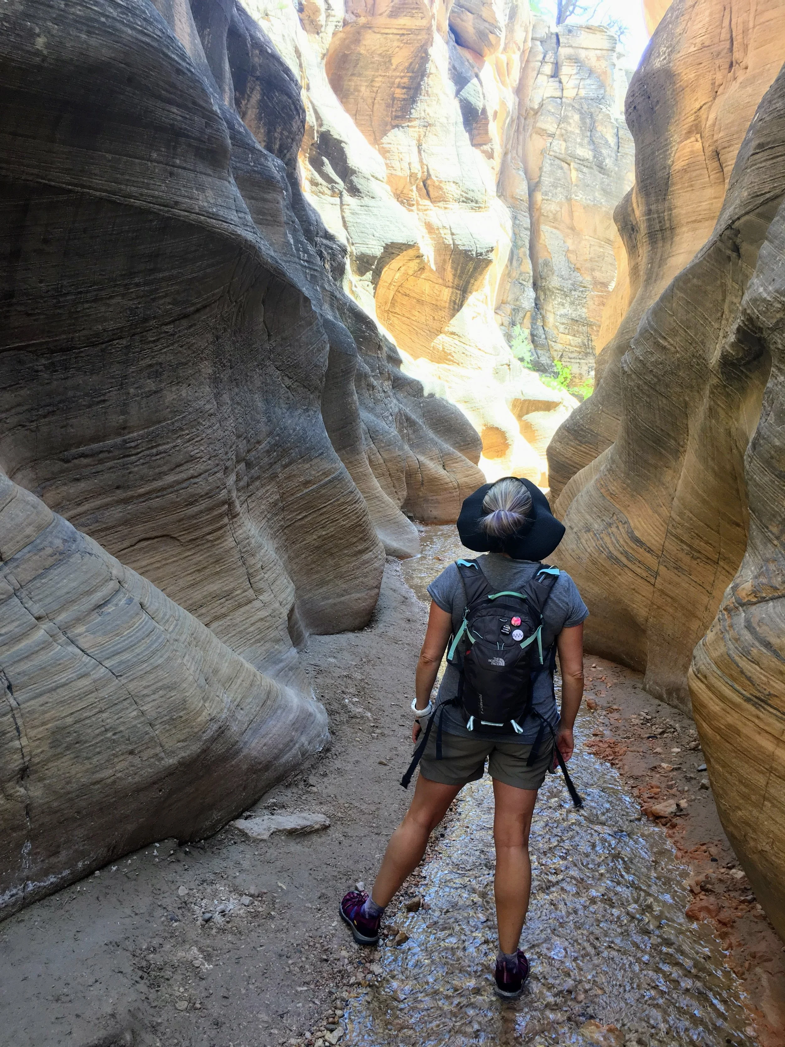 Willis Creek slot canyon in Grand Staircase-Escalante National Monument, Utah. June 2017. 
