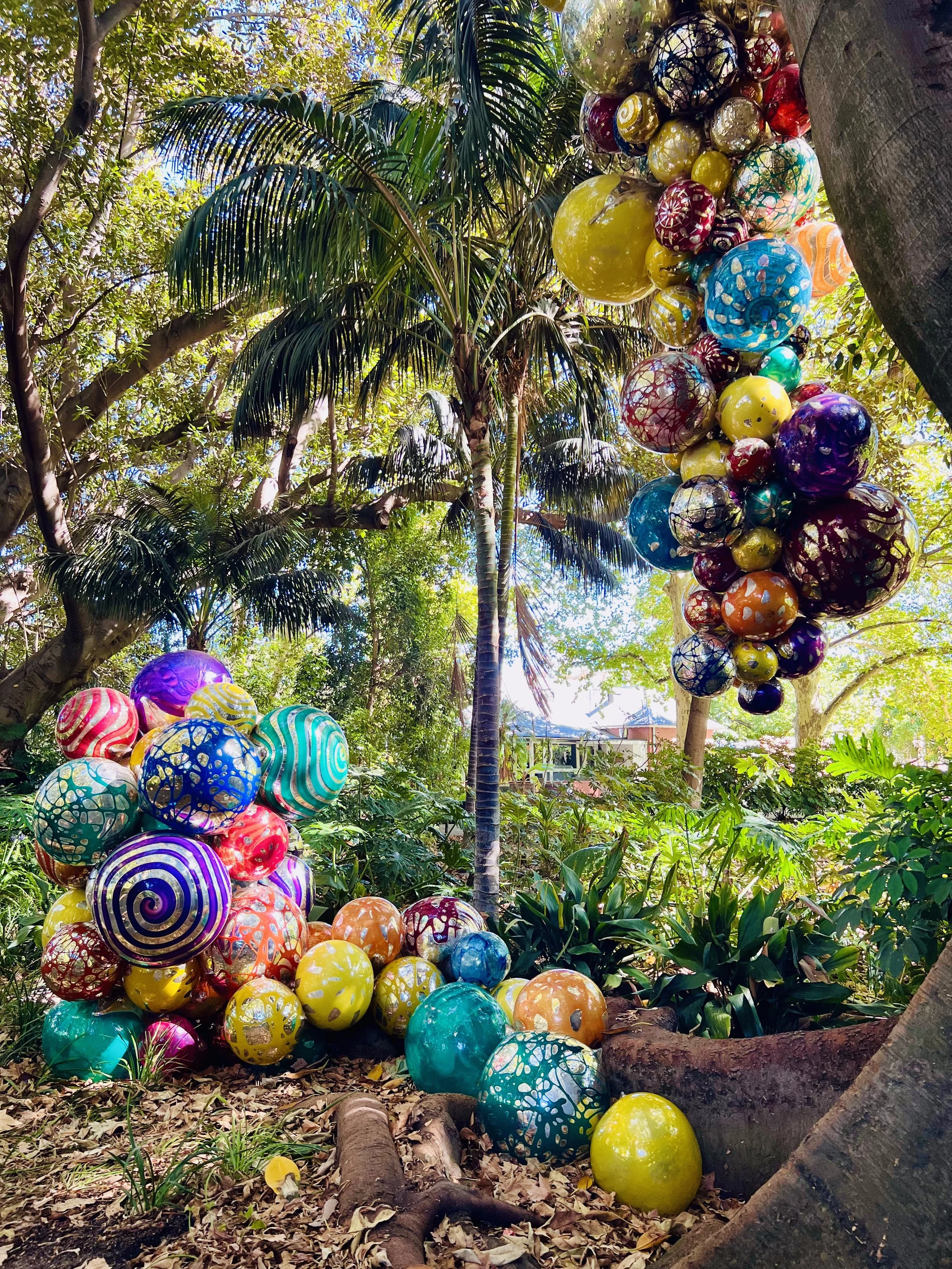 Part of a huge Chihuly installation at the Adelaide Botanic Gardens in Adelaide, Australia. March 2025. 