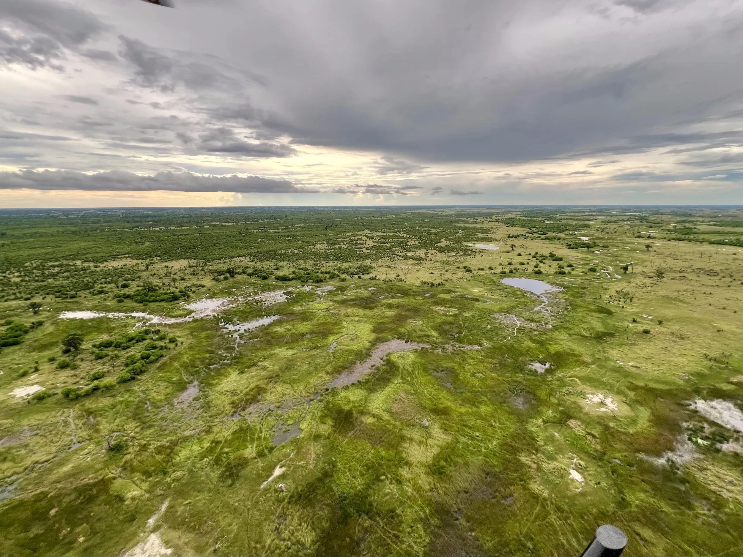 While cruising over the Okavanger River Delta in Botswana, we saw so many animals, including a herd of 60+ elephants. It was amazing. The photos don't even remotely do the experience justice. February 2026. 
