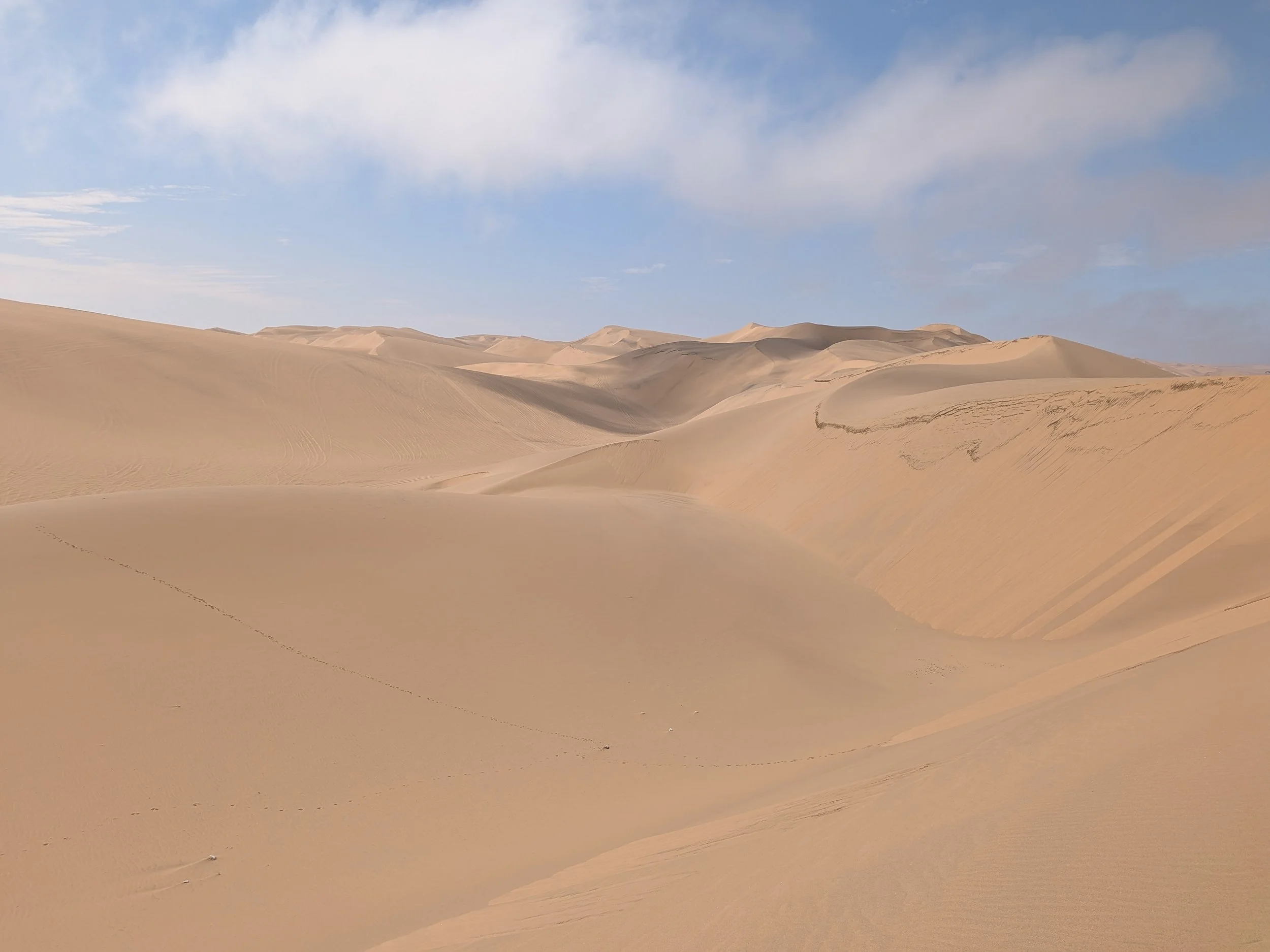The beautiful white dunes of the Namib Desert near Walvis Bay, Namibia. February 2026.